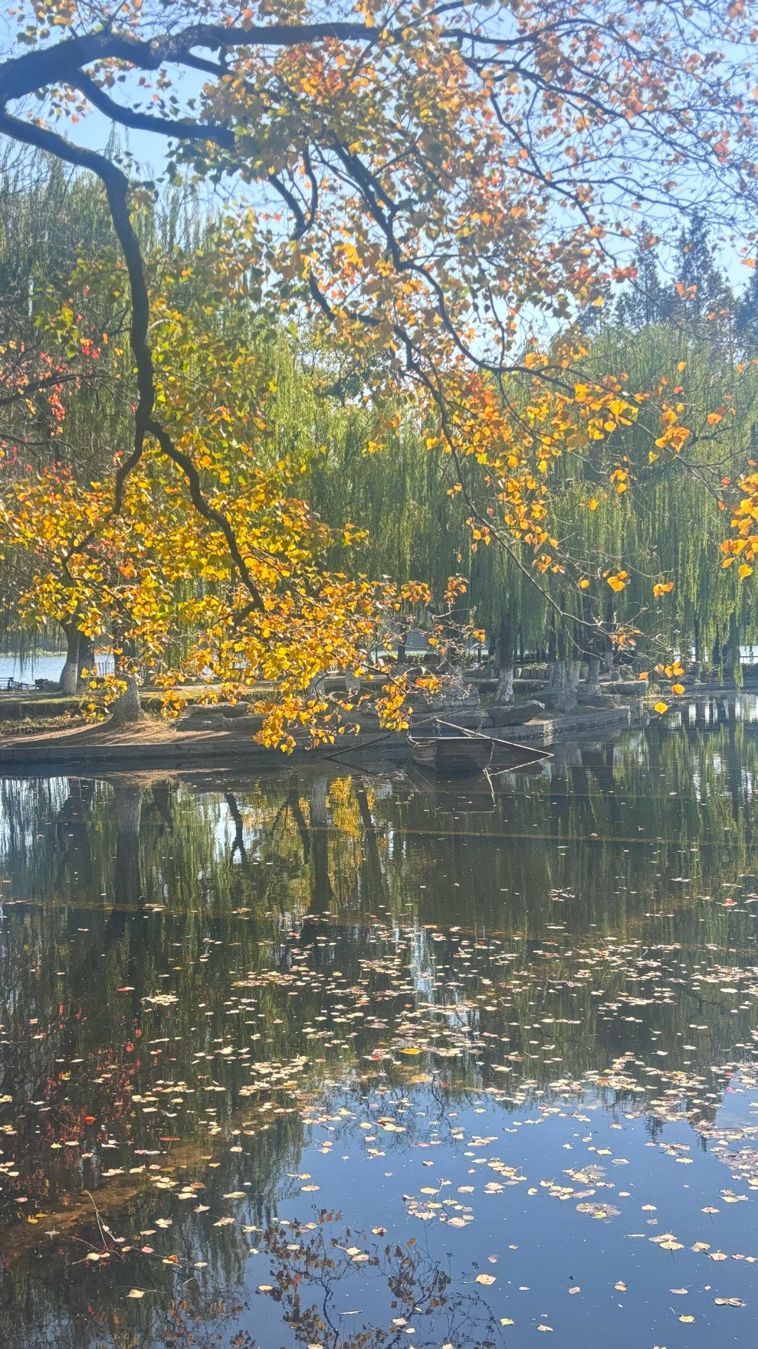 莫愁湖公园旅行图片 3