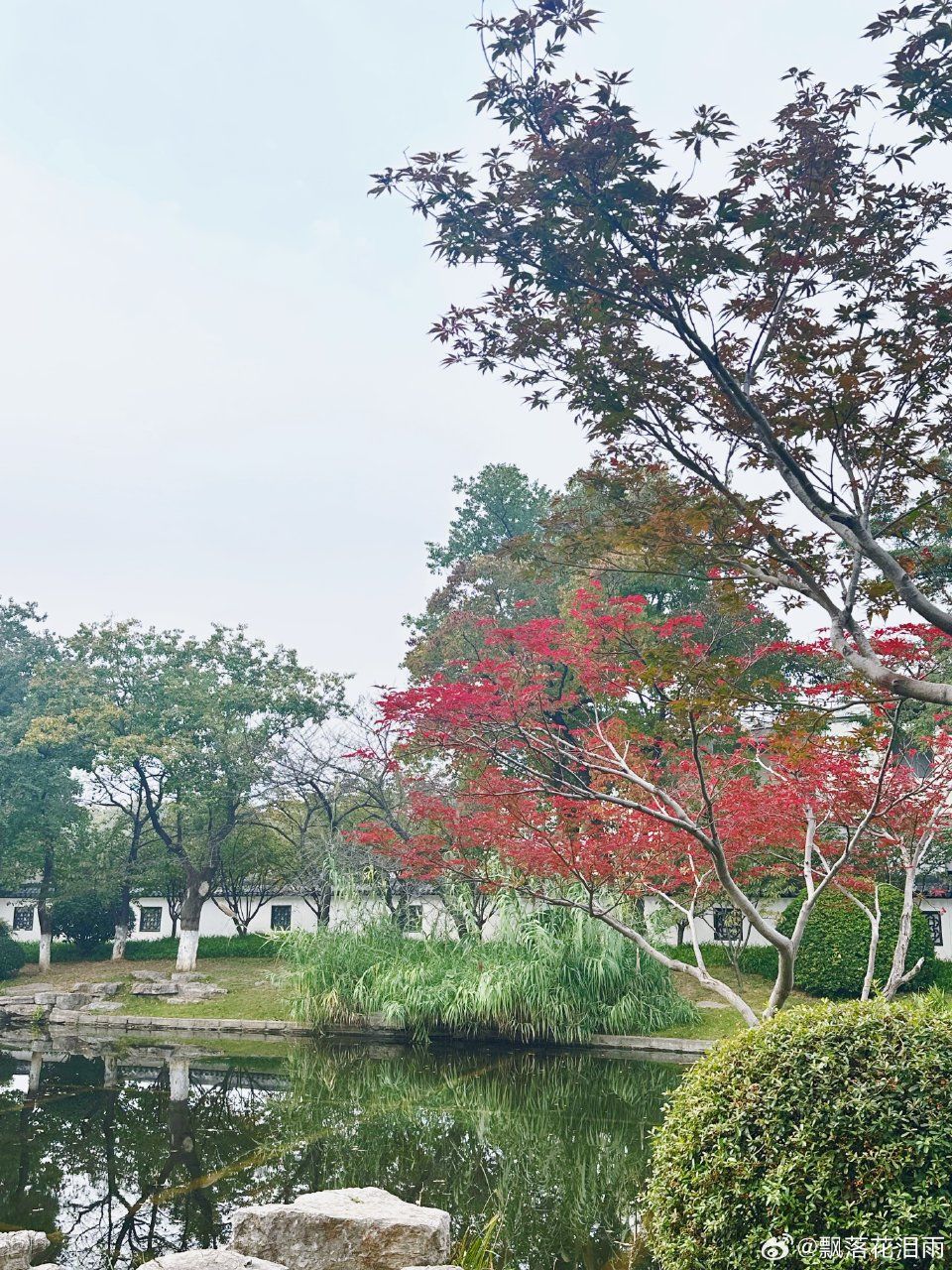 莫愁湖公园旅行图片 1