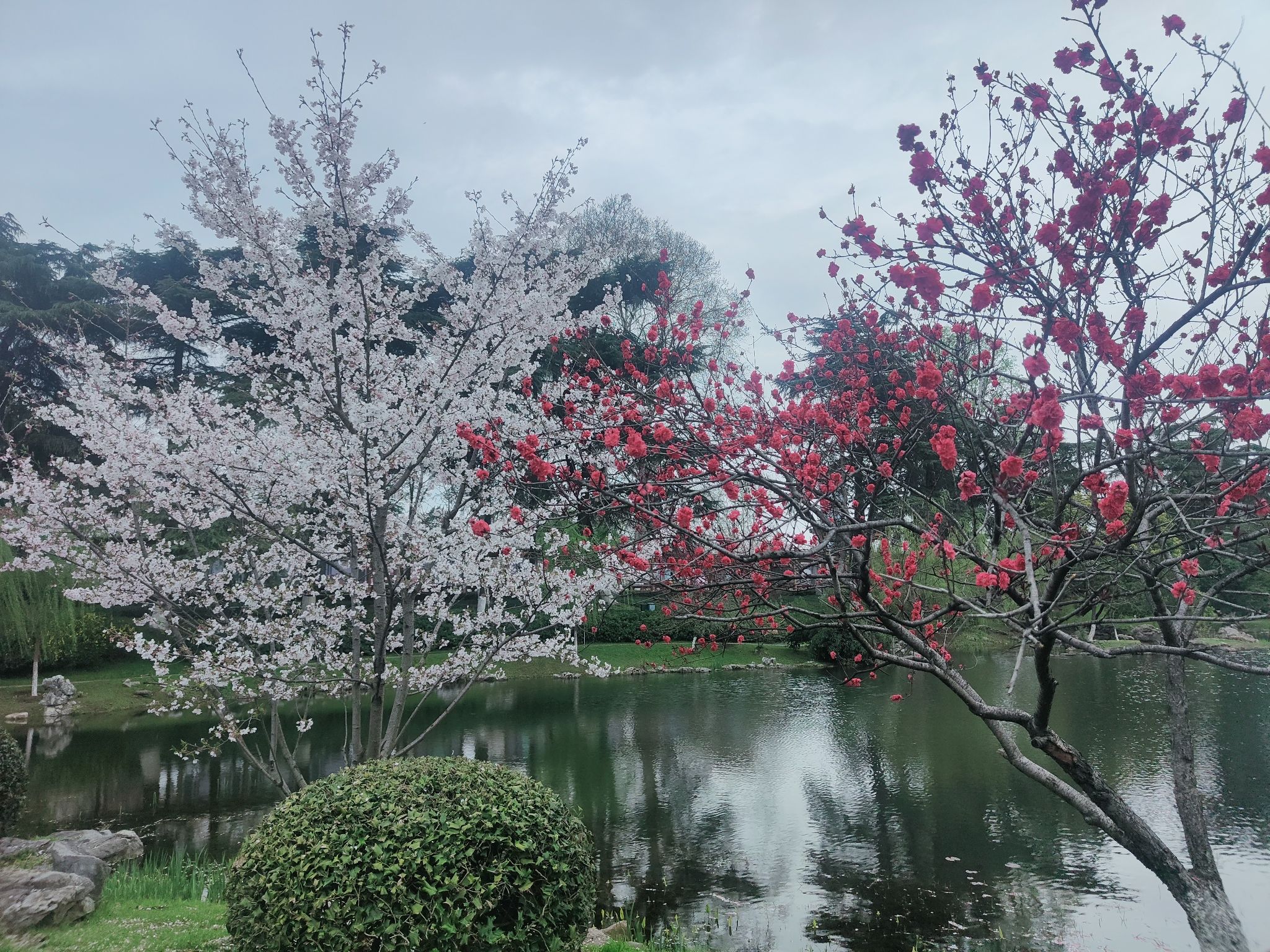 莫愁湖公园旅行图片 1