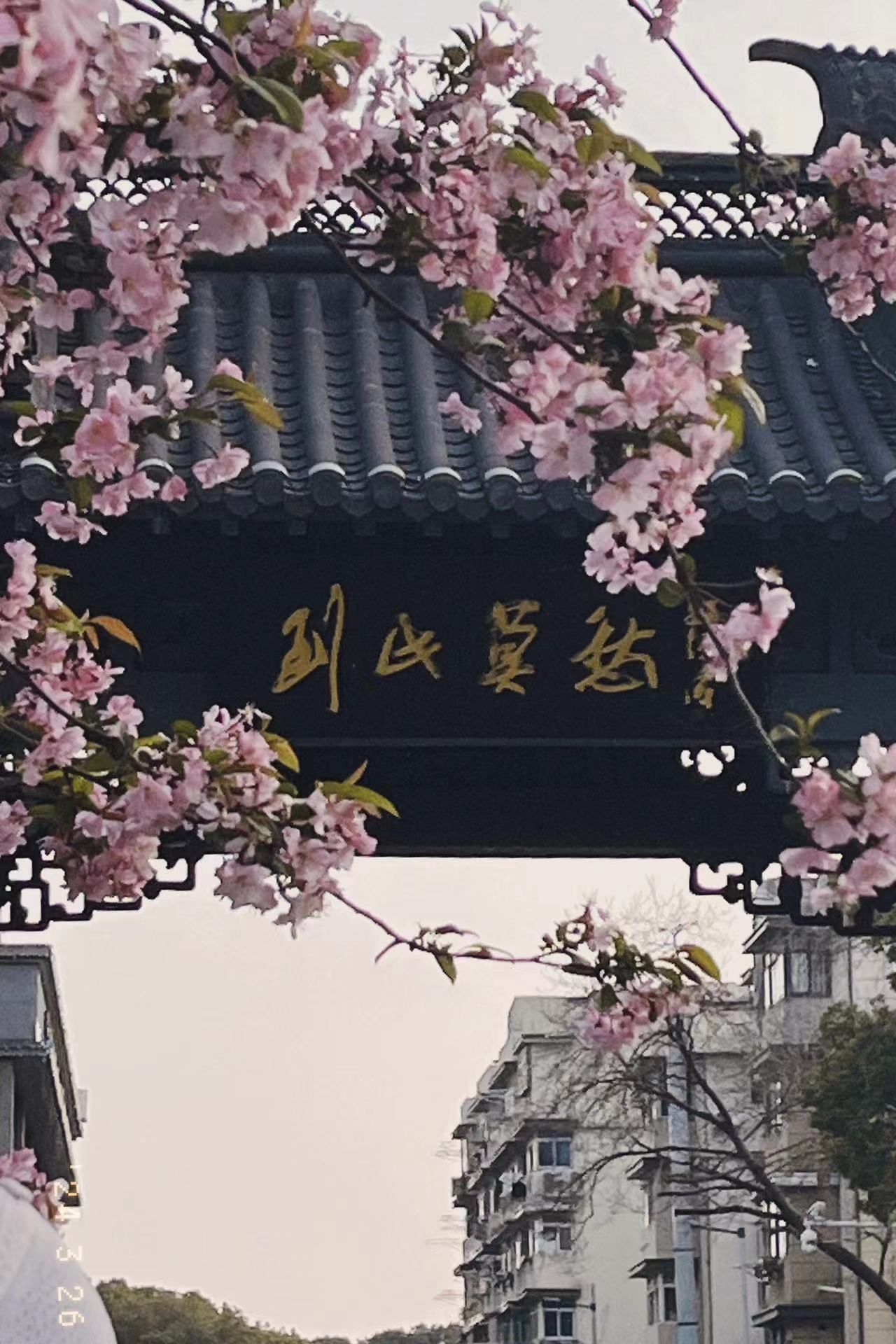 莫愁湖公园旅行图片 1