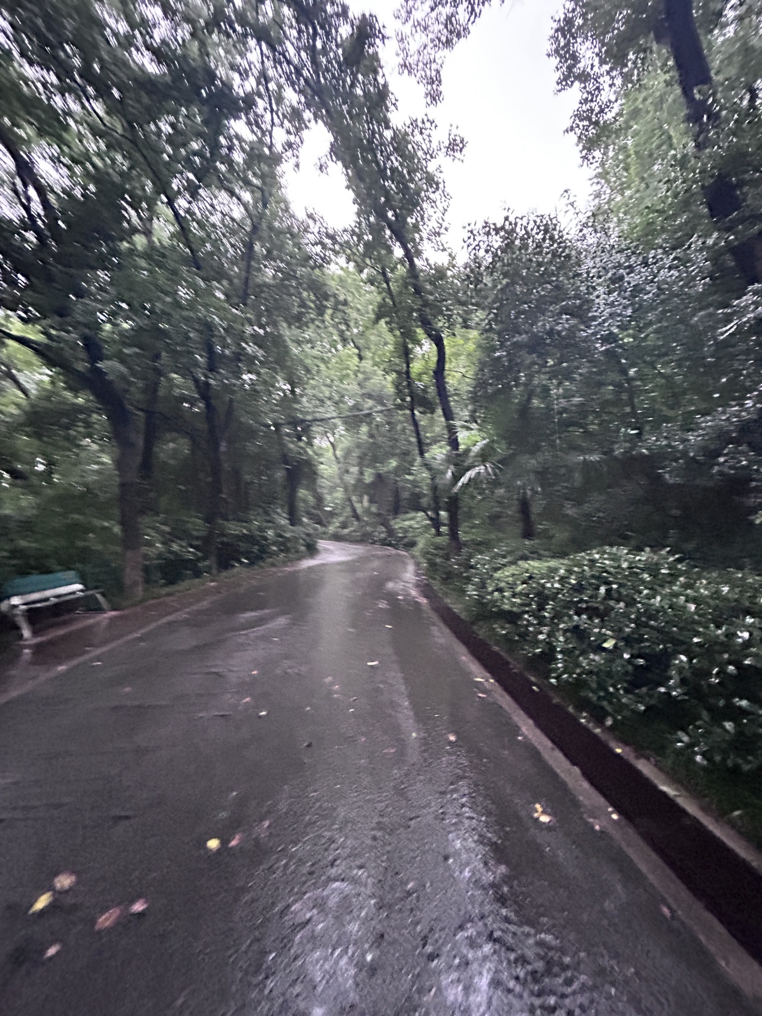 北极阁公园旅行图片 1
