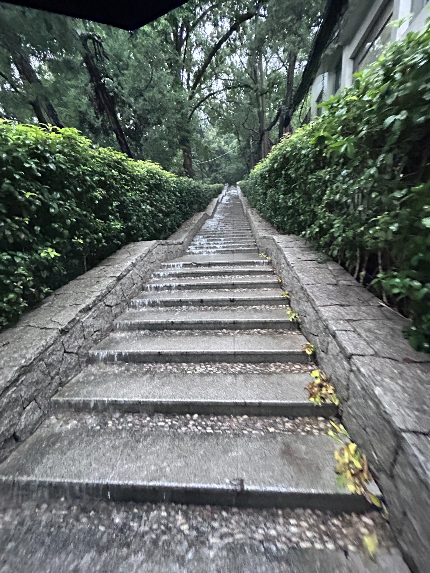 北极阁公园旅行图片 2