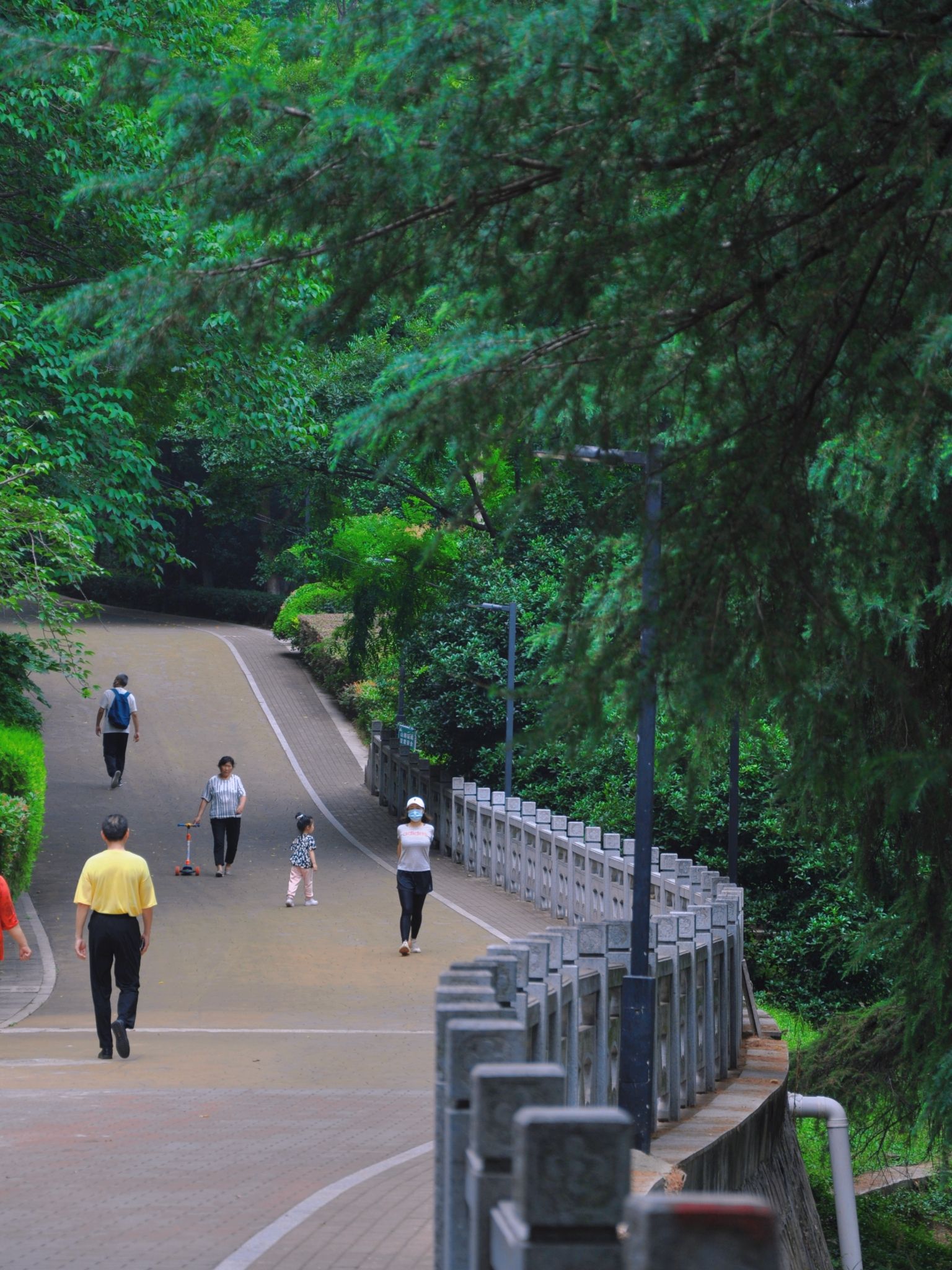 北极阁公园旅行图片 2