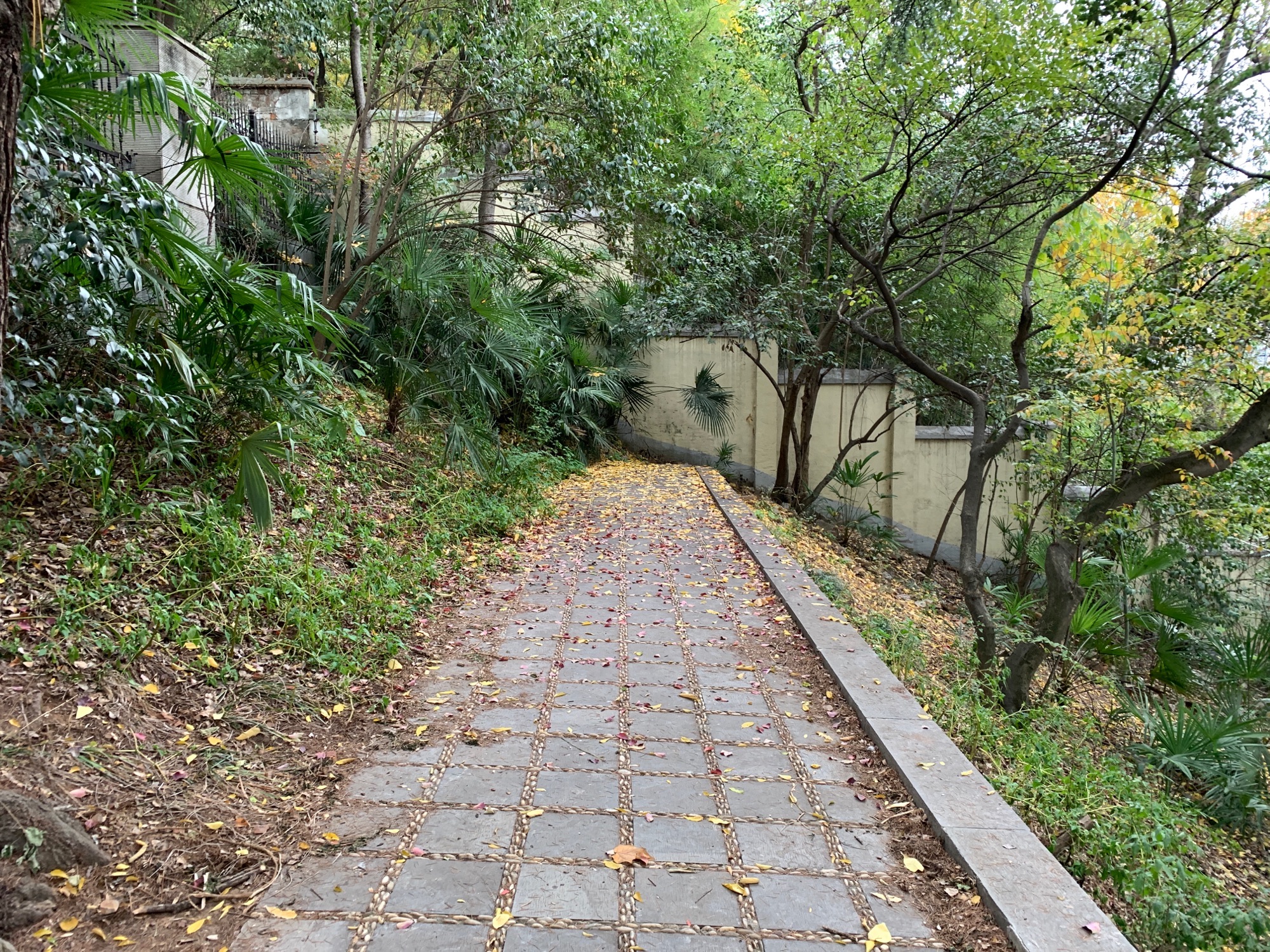 北极阁公园旅行图片 1