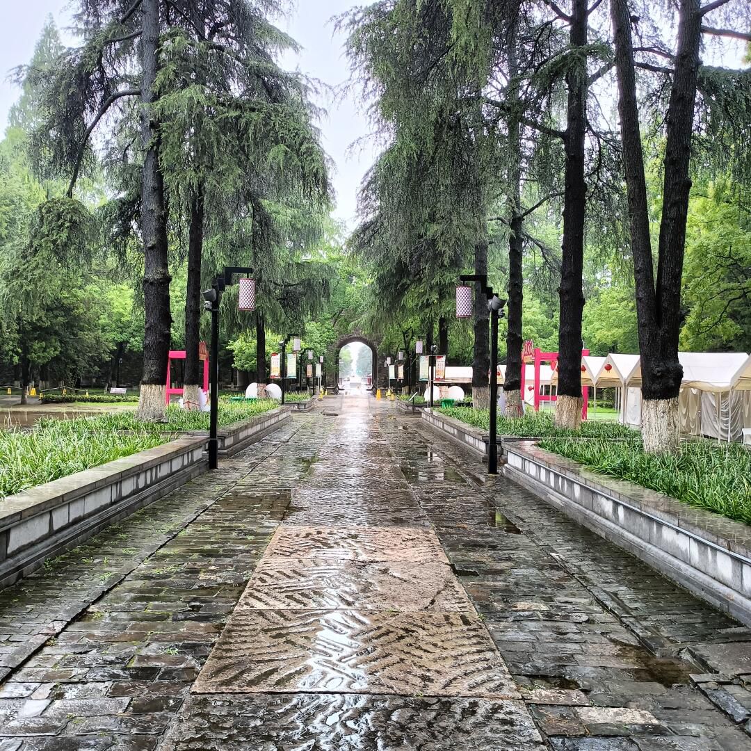 南京明故宫遗址公园旅行图片 2