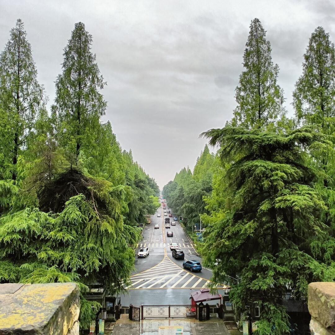 南京明故宫遗址公园旅行图片 1