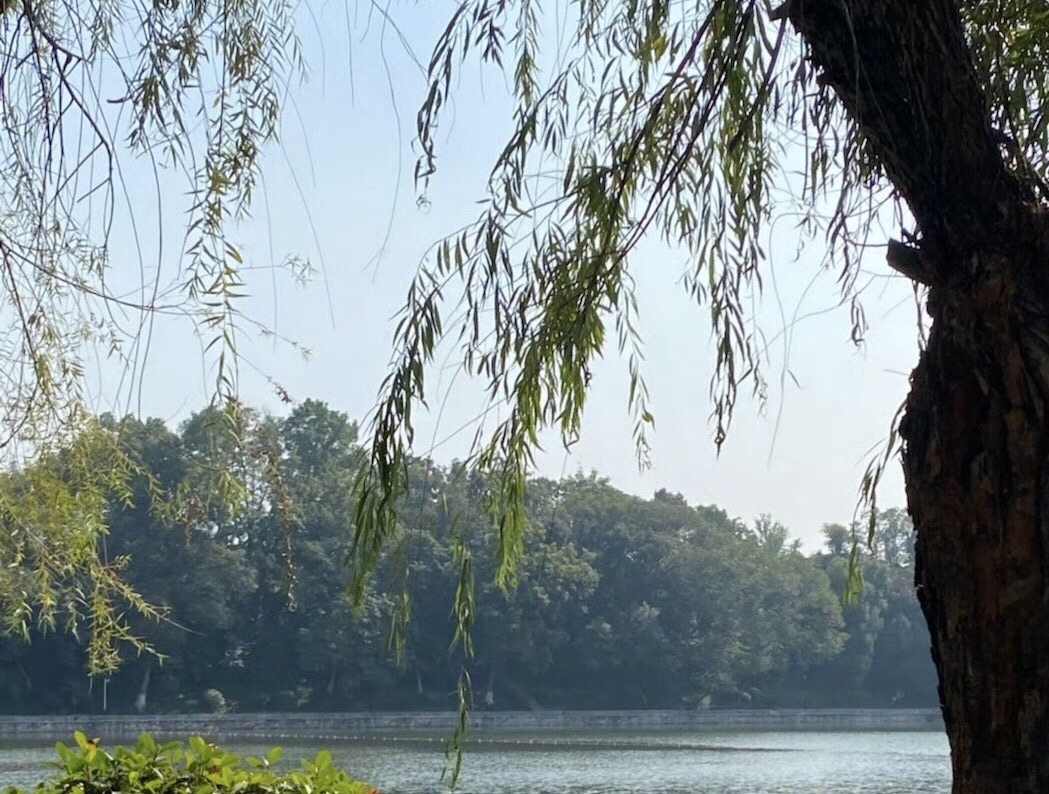 月牙湖公园旅行图片 3