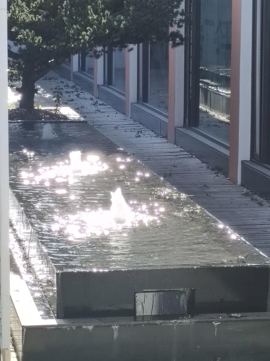 月牙湖公园旅行图片 2