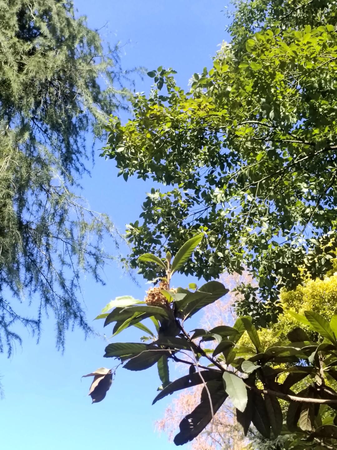 月牙湖公园旅行图片 1