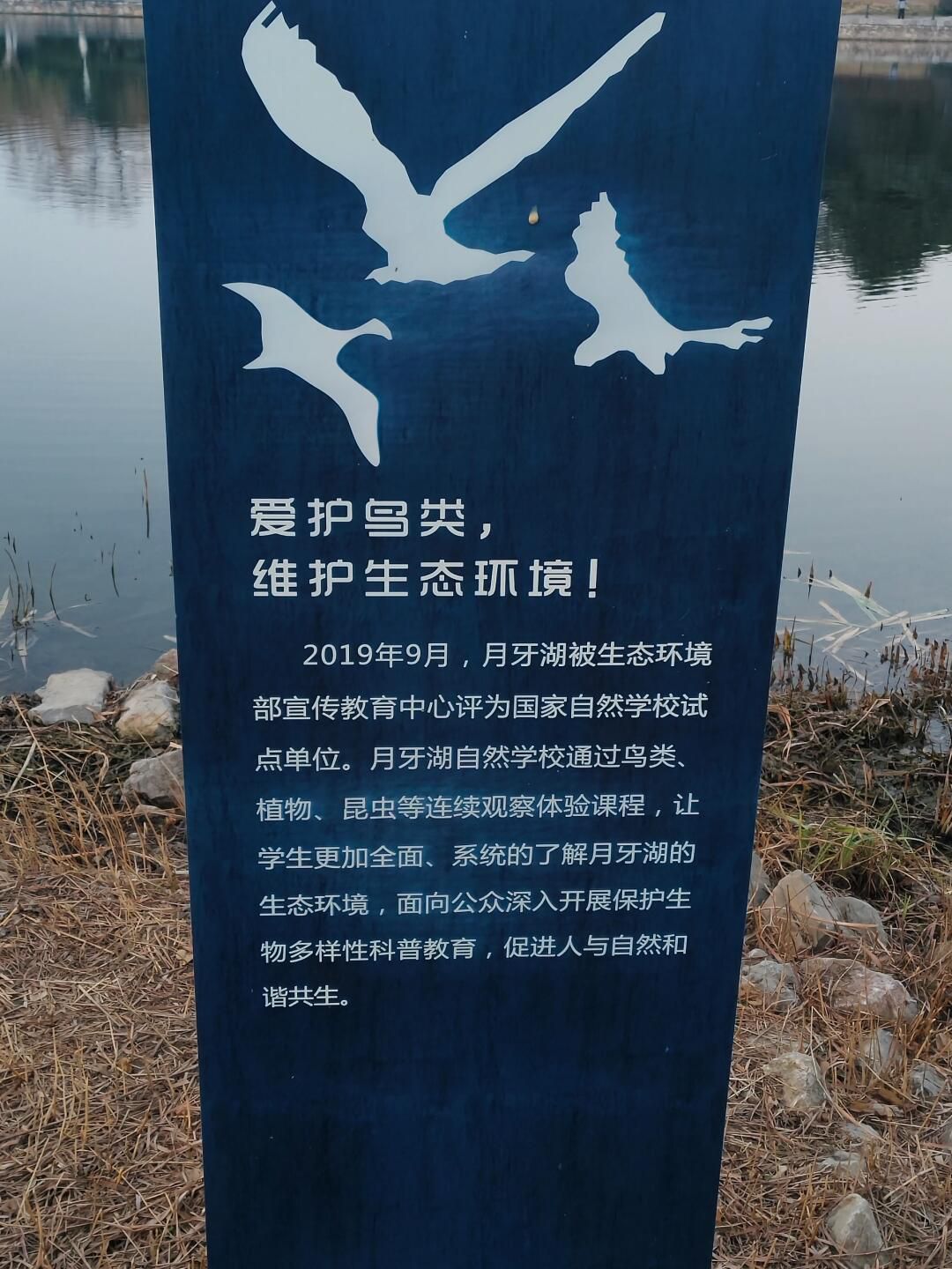 月牙湖公园旅行图片 1