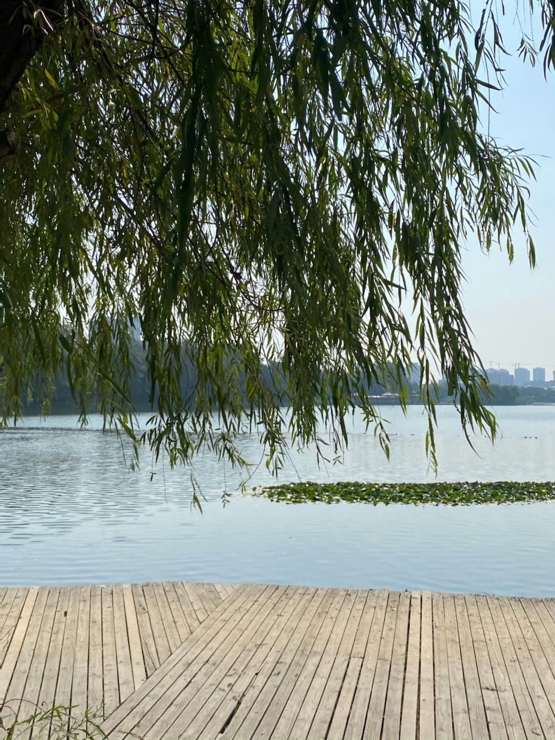月牙湖公园旅行图片 1