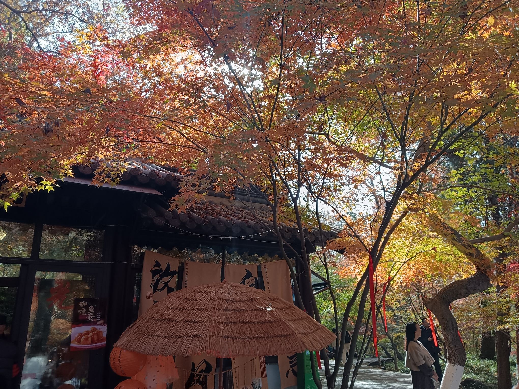 栖霞山风景名胜区旅行图片 3