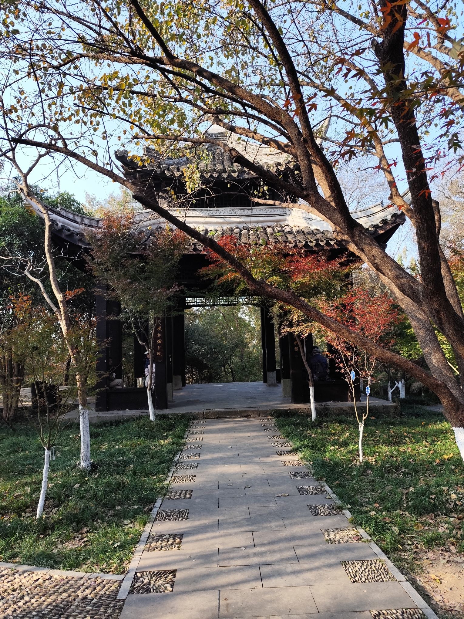 栖霞山风景名胜区旅行图片 3
