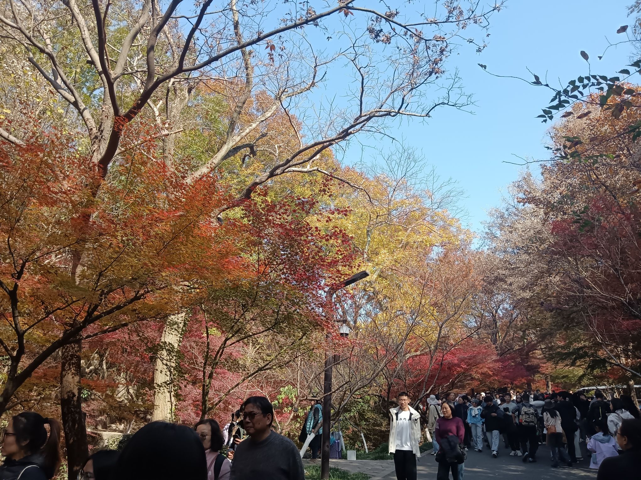 栖霞山风景名胜区旅行图片 2