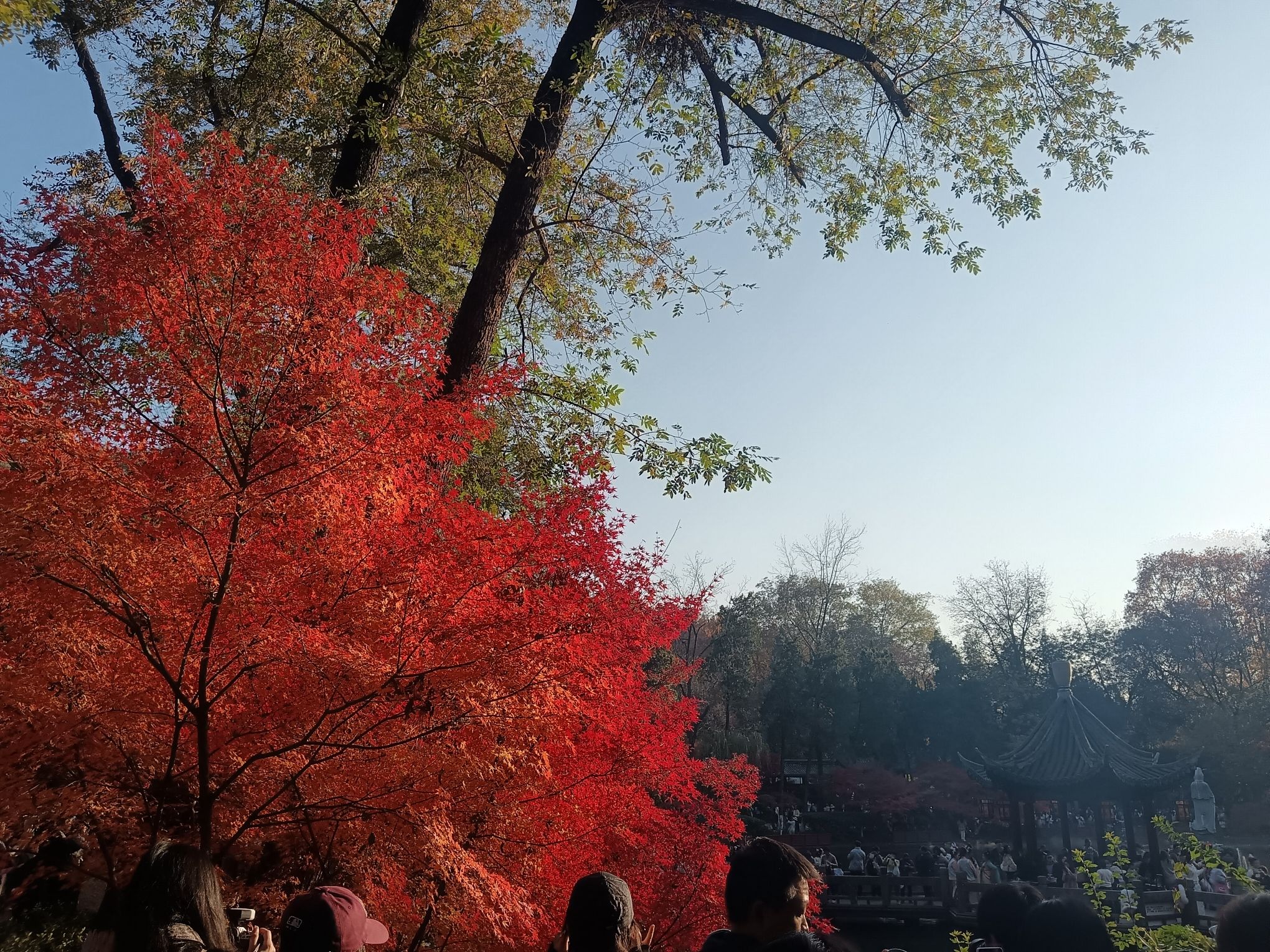 栖霞山风景名胜区旅行图片 1