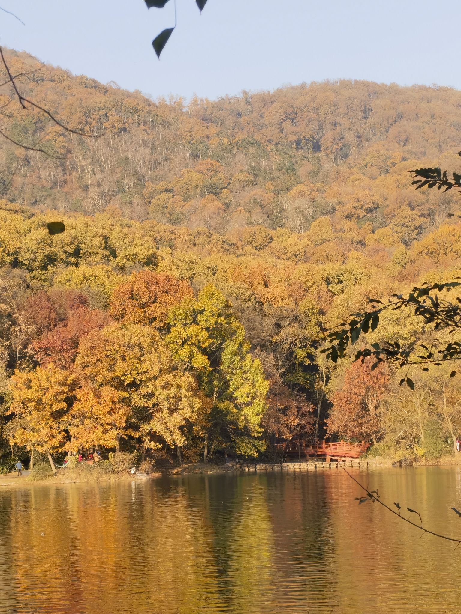 栖霞山风景名胜区旅行图片 2