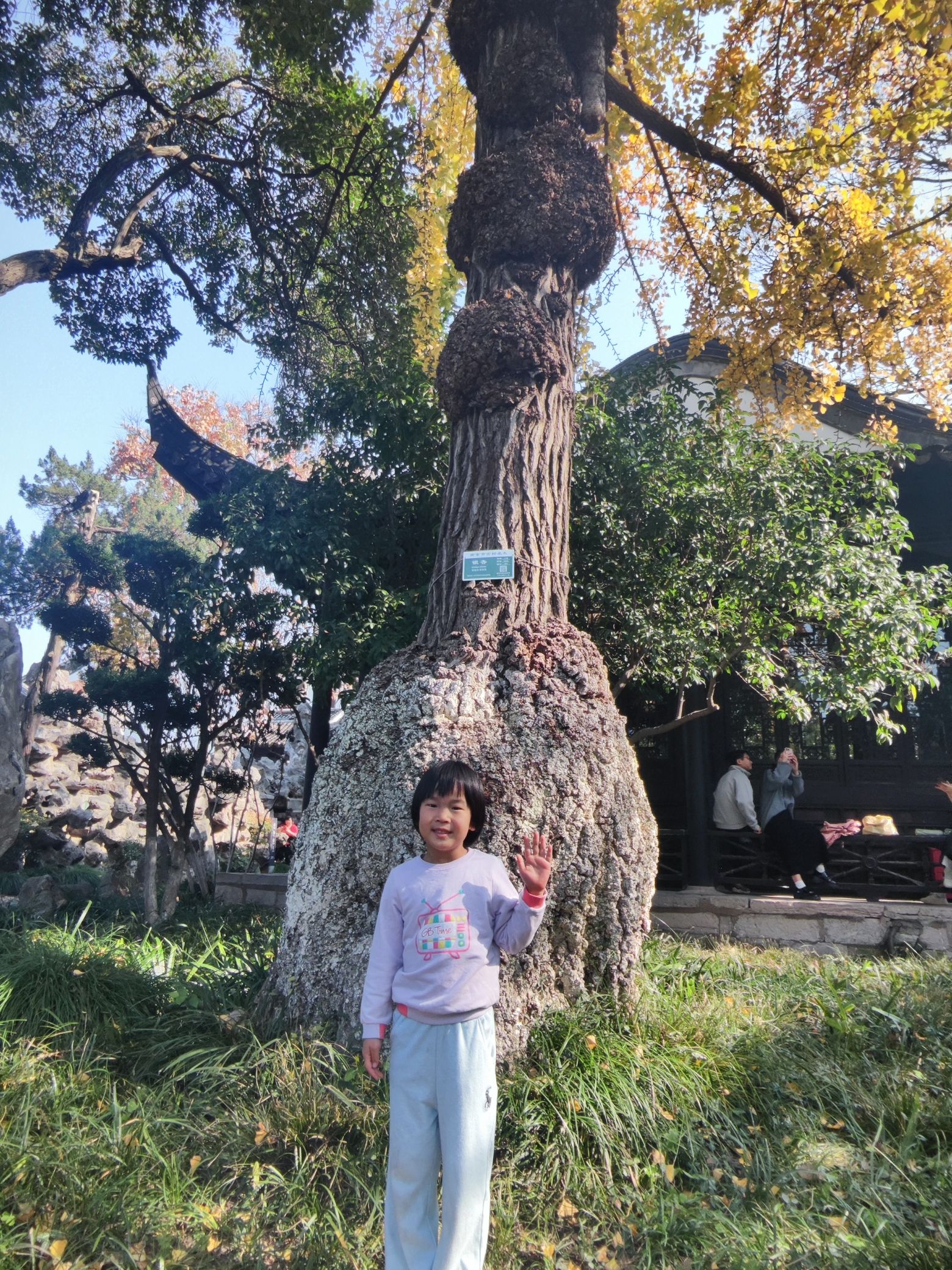 总统府旅行图片 3