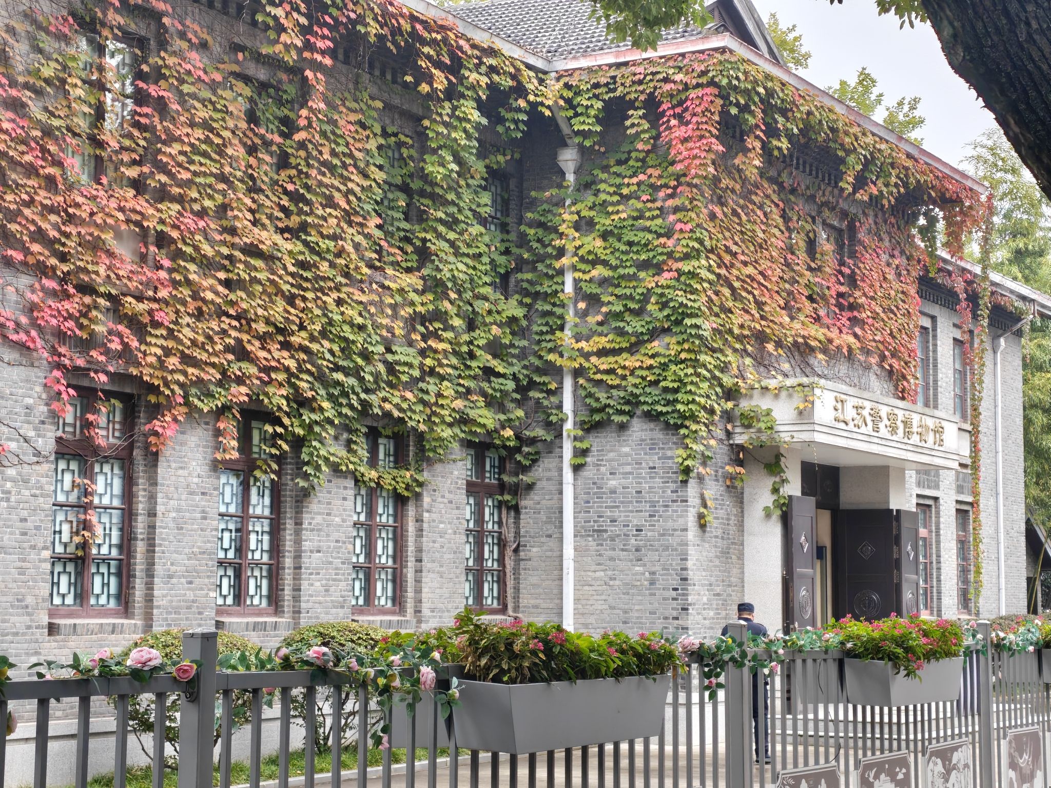 总统府旅行图片 2