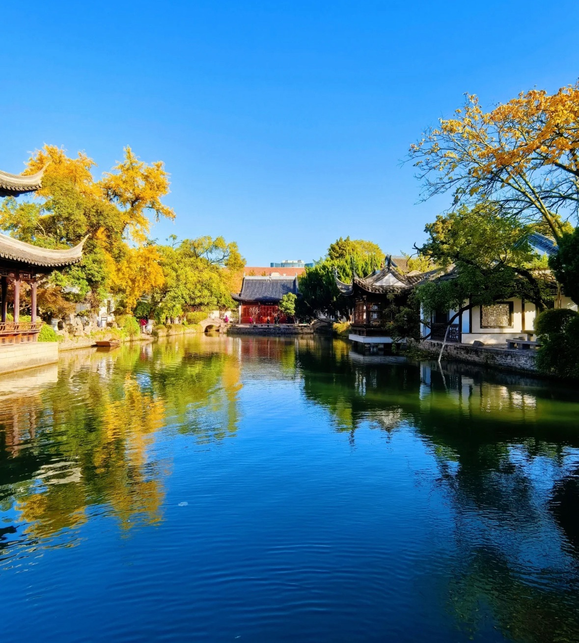总统府旅行图片 3