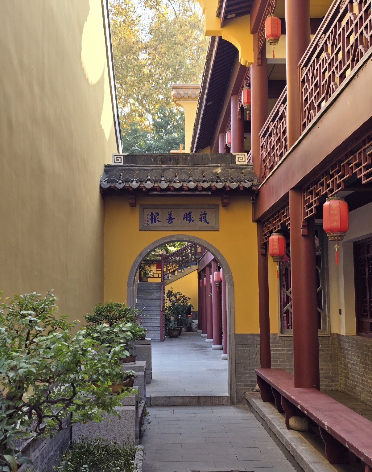 白鹭洲鹫峯寺实景照片