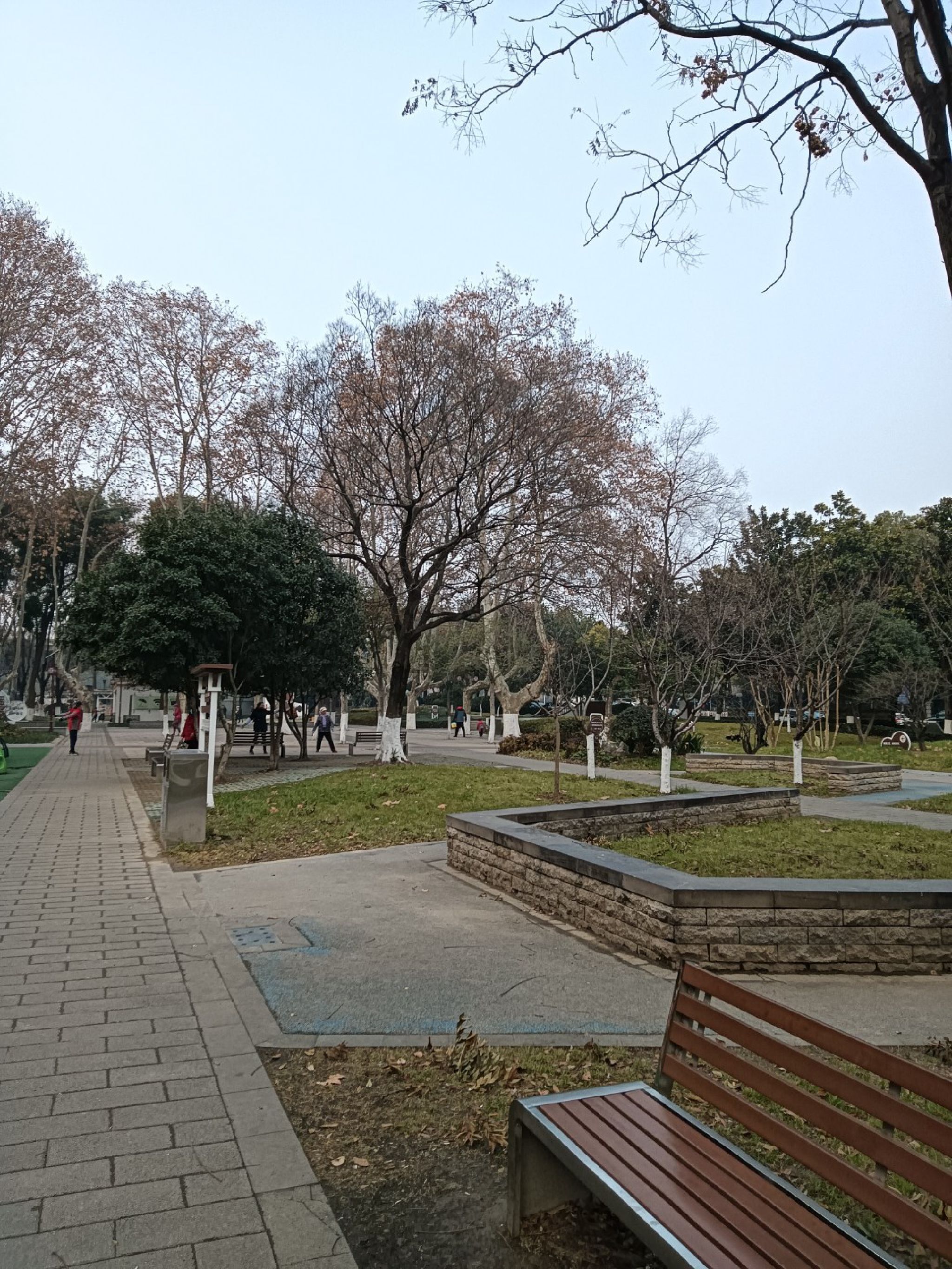 雅居乐公园旅行图片 3