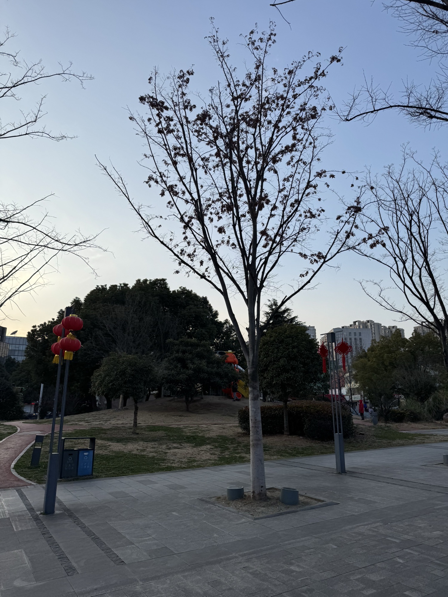 江宁体育公园旅行图片 2