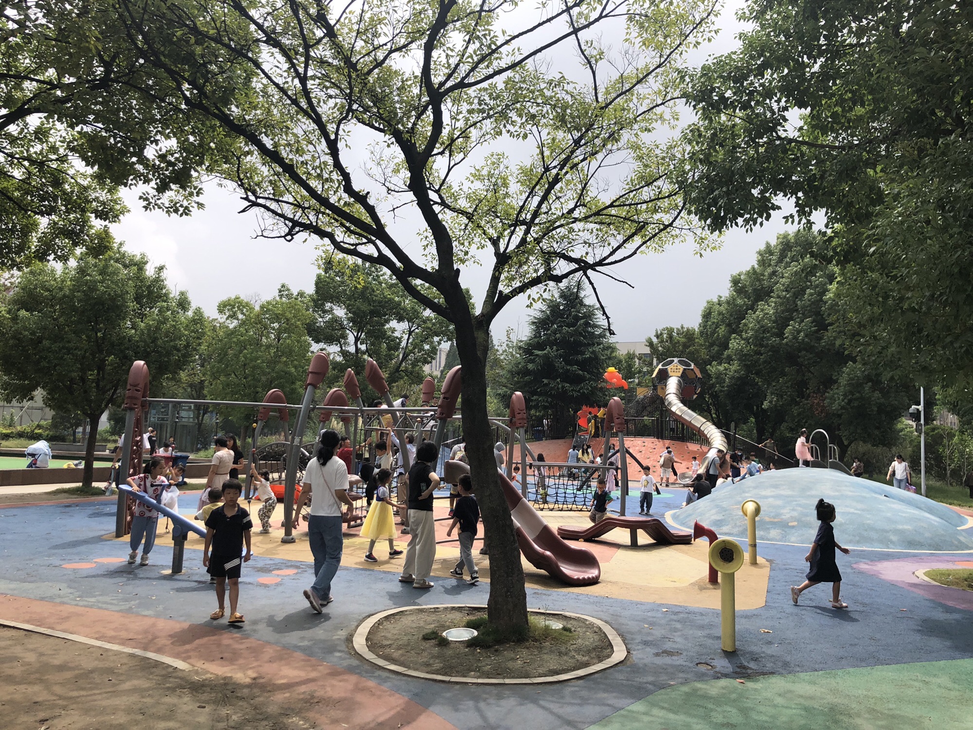 江宁体育公园旅行图片 3