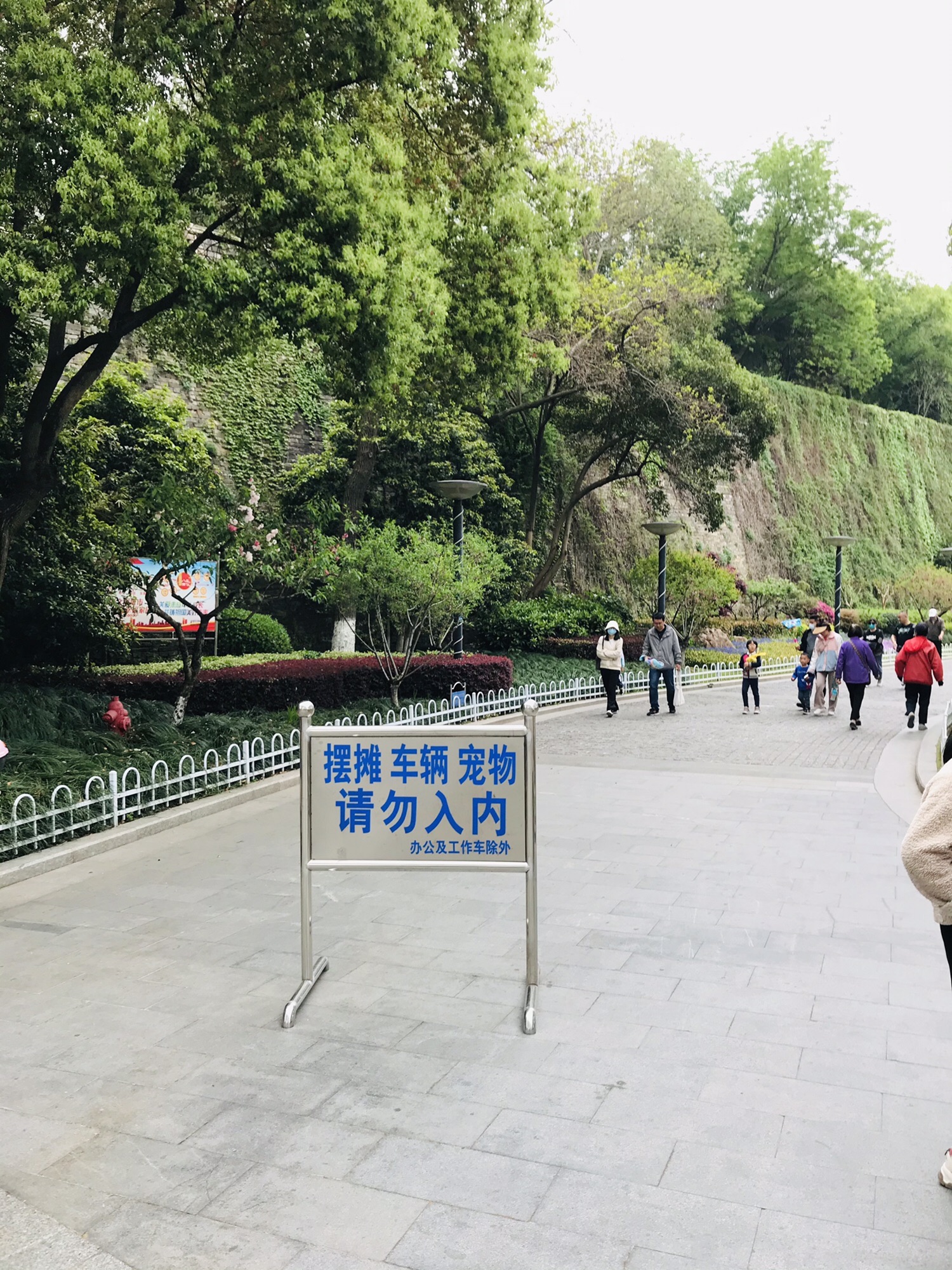 小桃园旅行图片 2