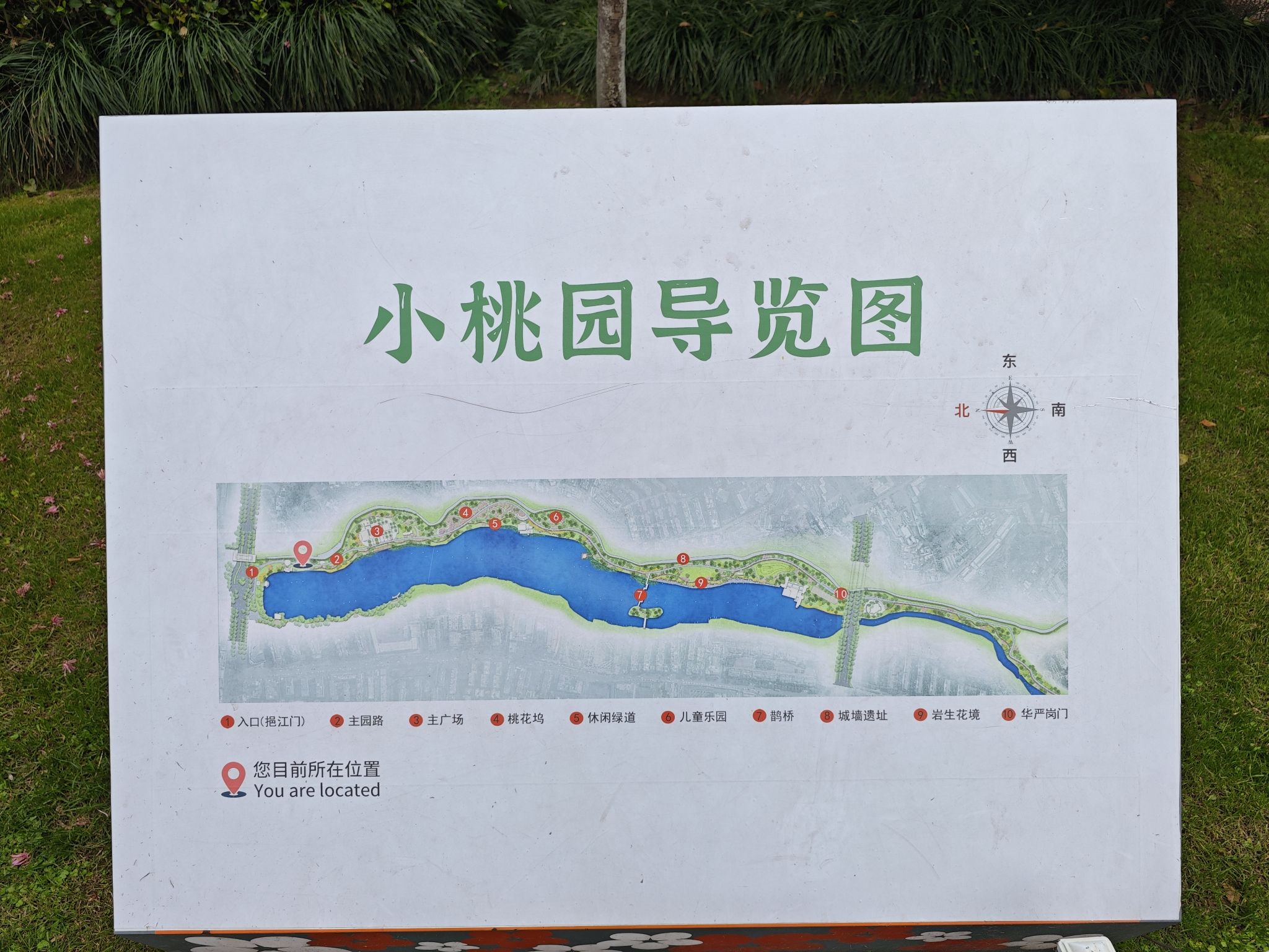 小桃园旅行图片 2