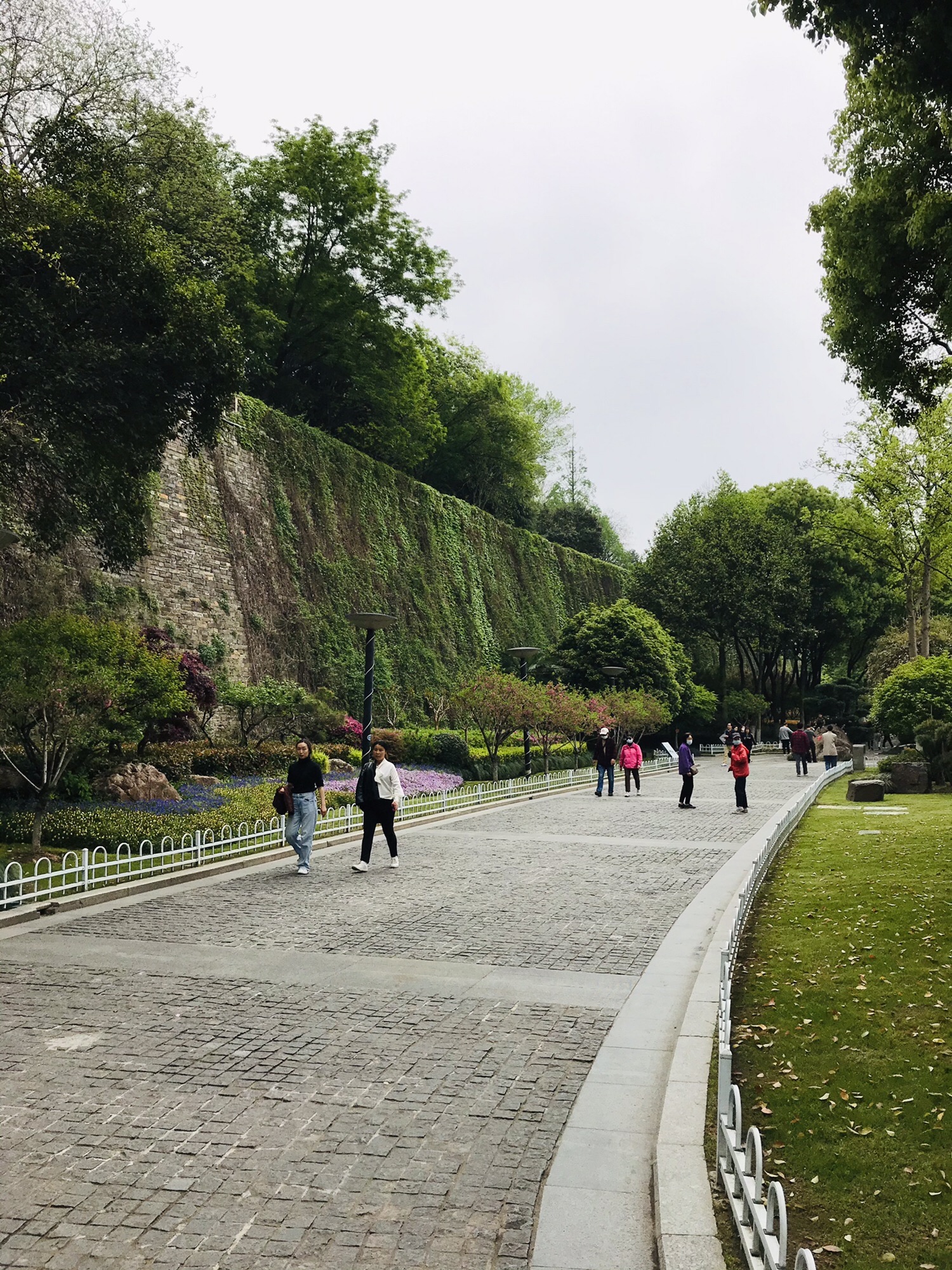 小桃园旅行图片 3