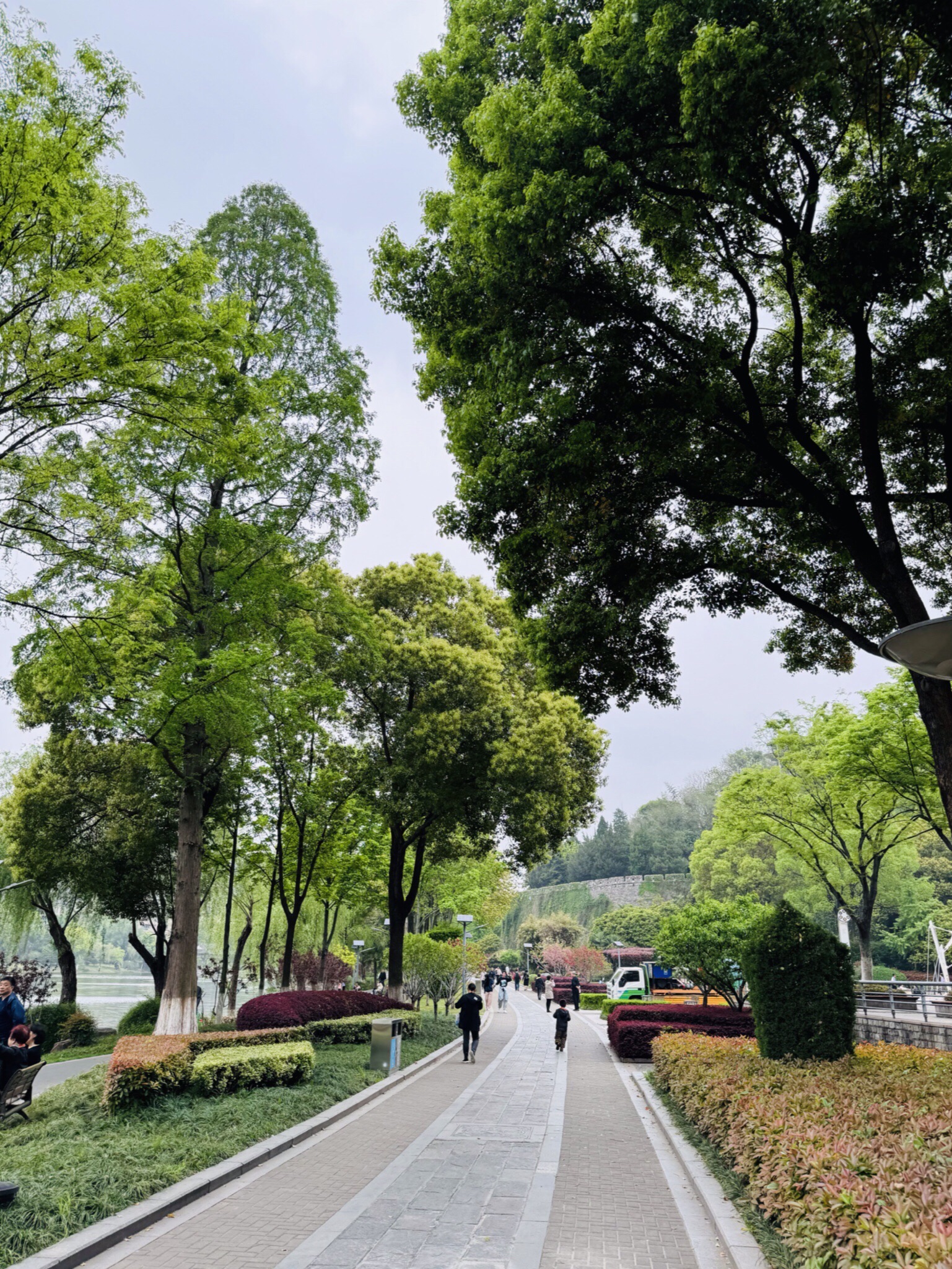 小桃园旅行图片 2