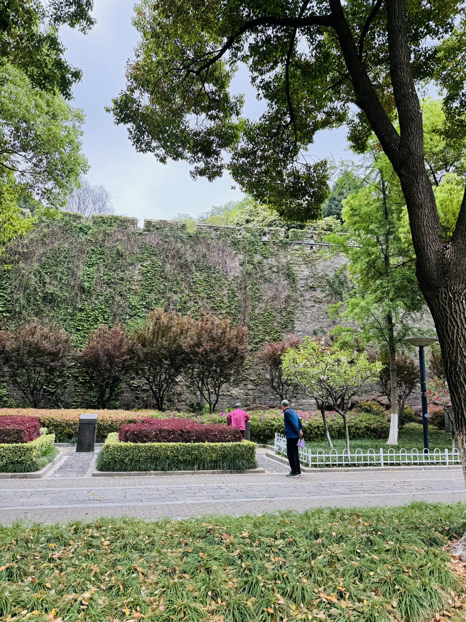 小桃园旅行图片 3