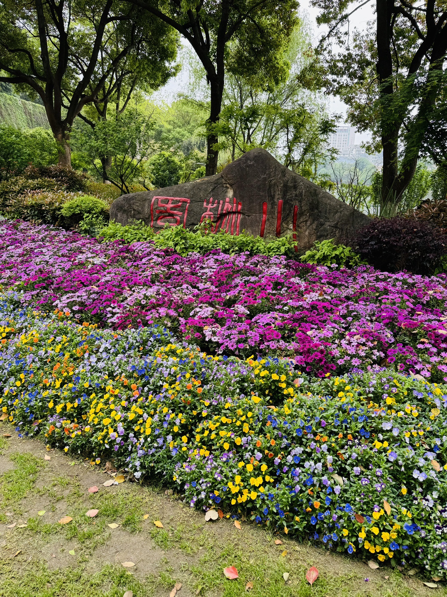 小桃园旅行图片 1