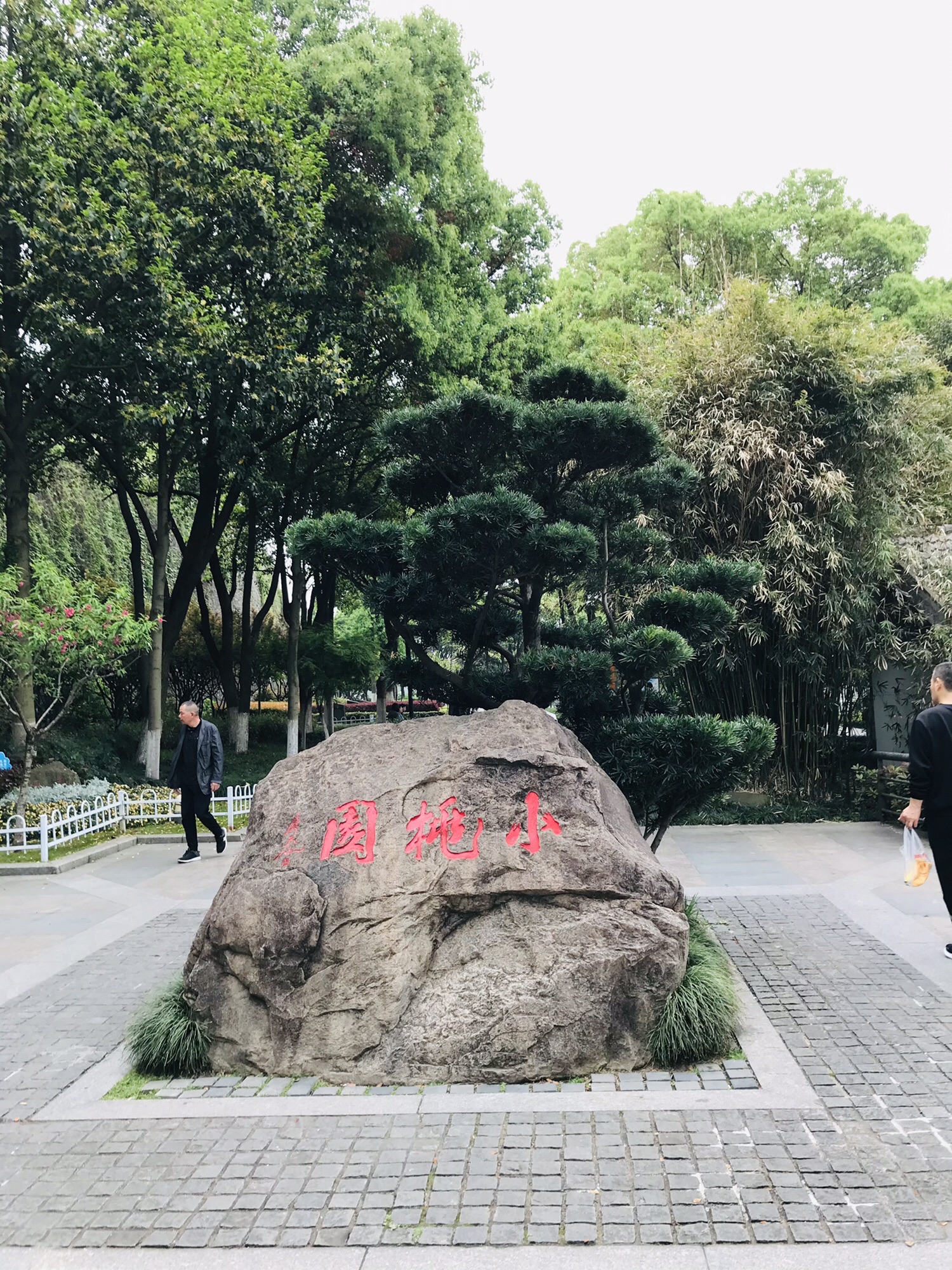 小桃园旅行图片 1