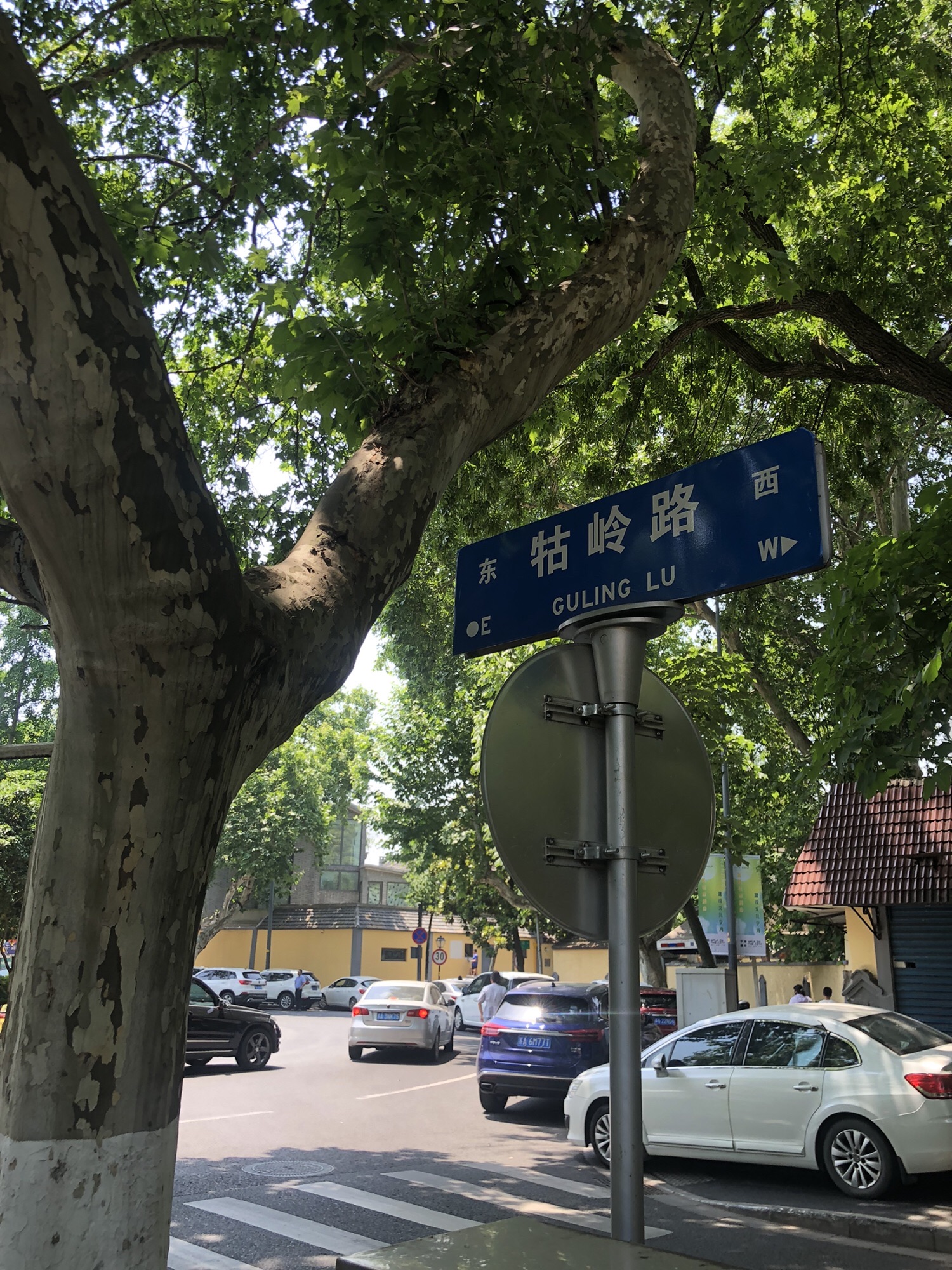 颐和路公馆区第十二片区旅行图片 3