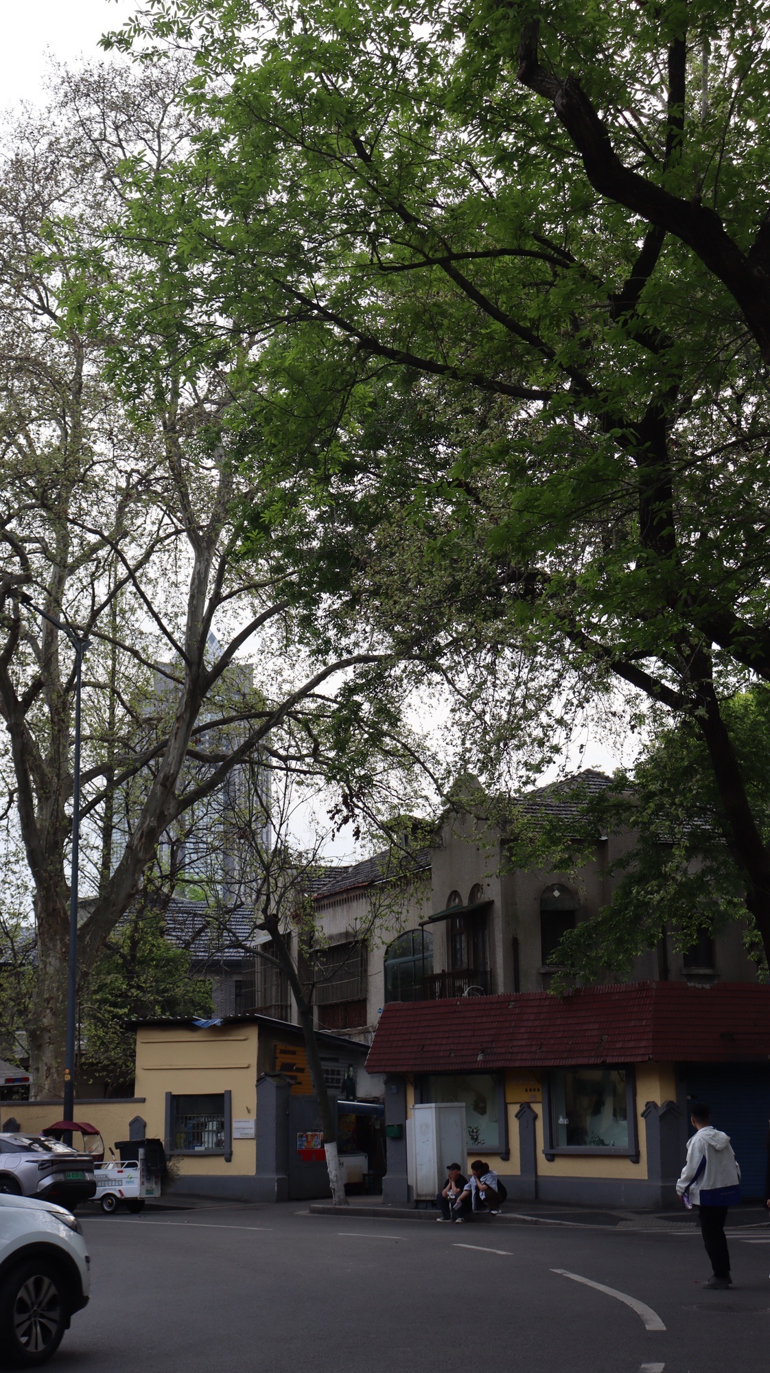 颐和路公馆区第十二片区旅行图片 3