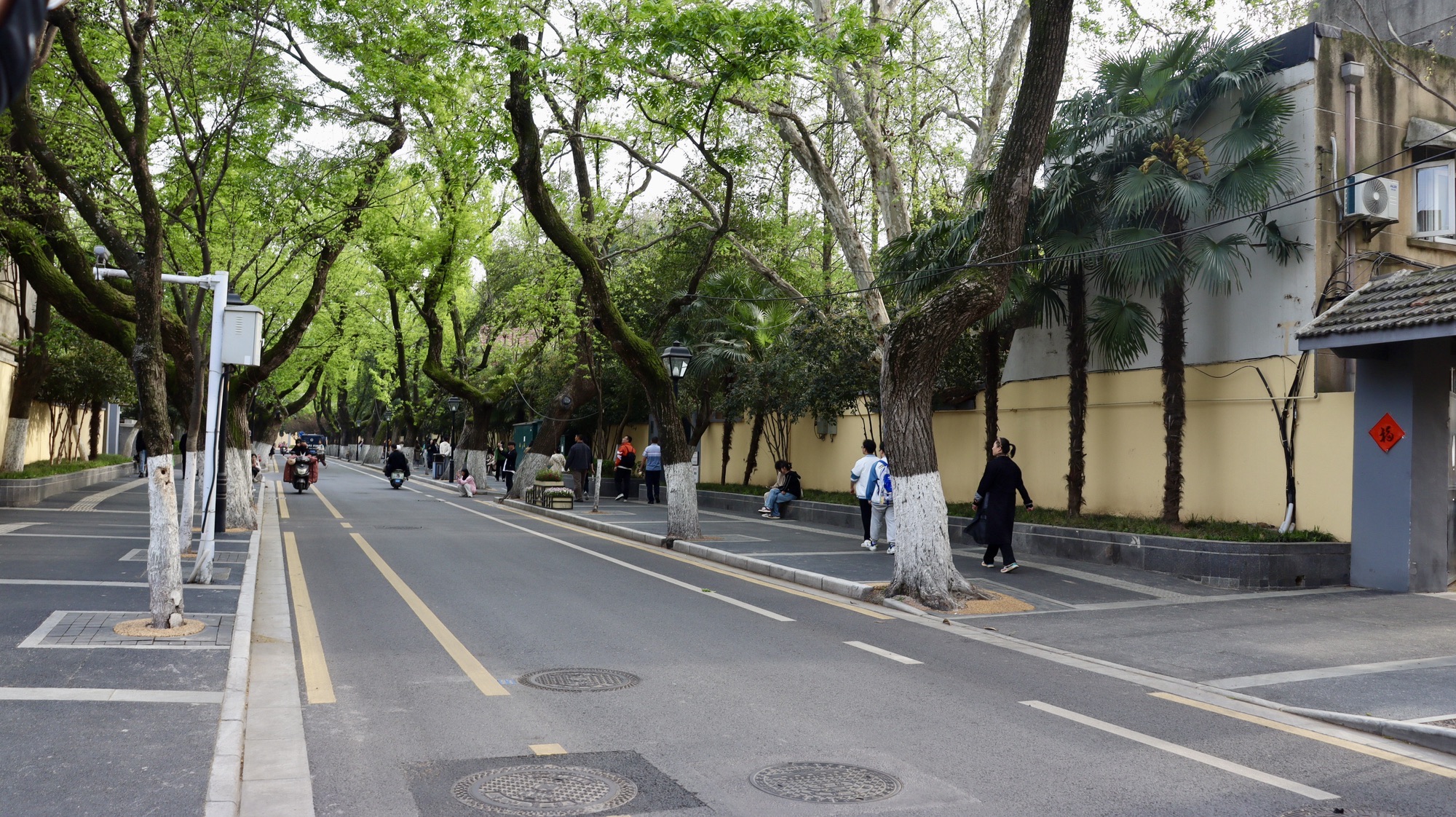 颐和路公馆区第十二片区旅行图片 2