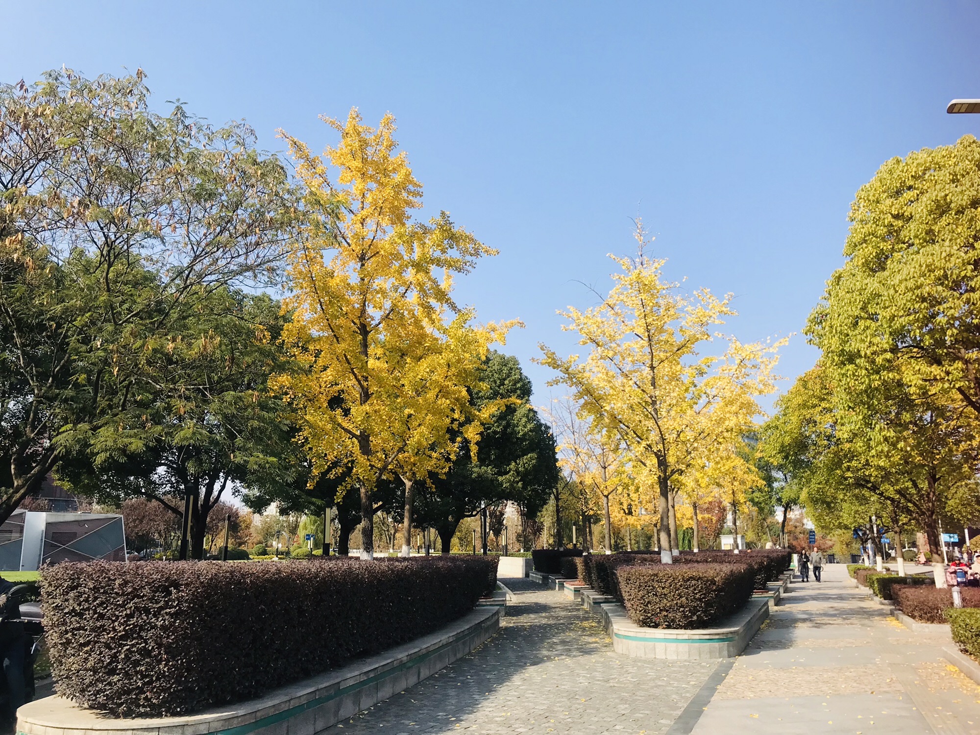 河定桥广场旅行图片 3