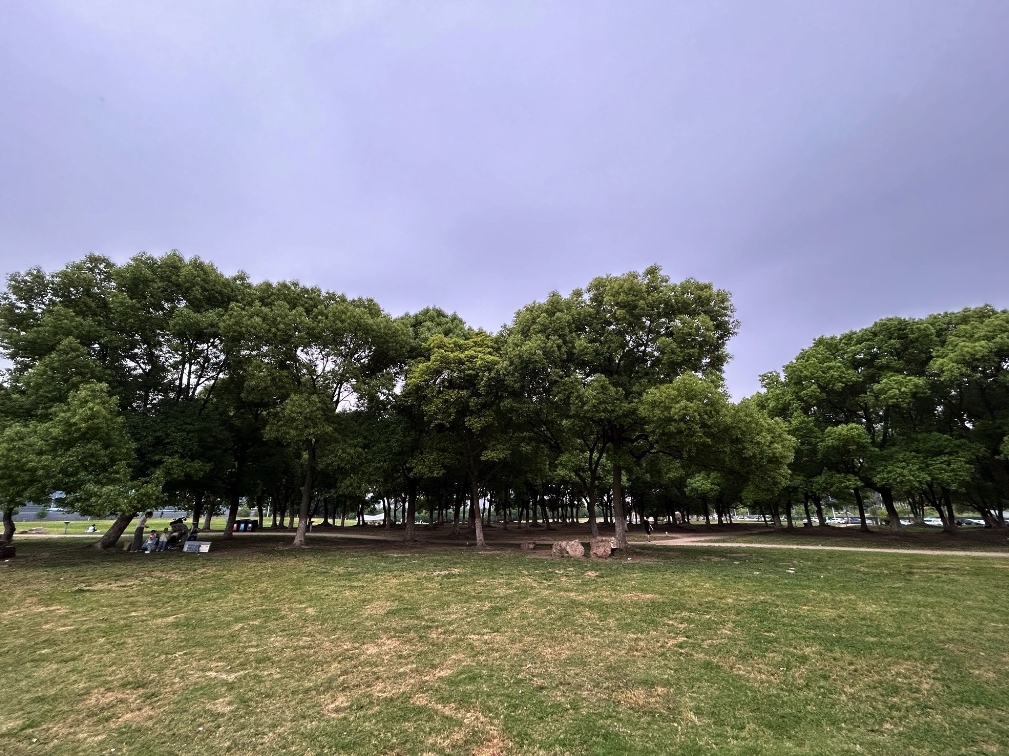 九龙湖公园旅行图片 2
