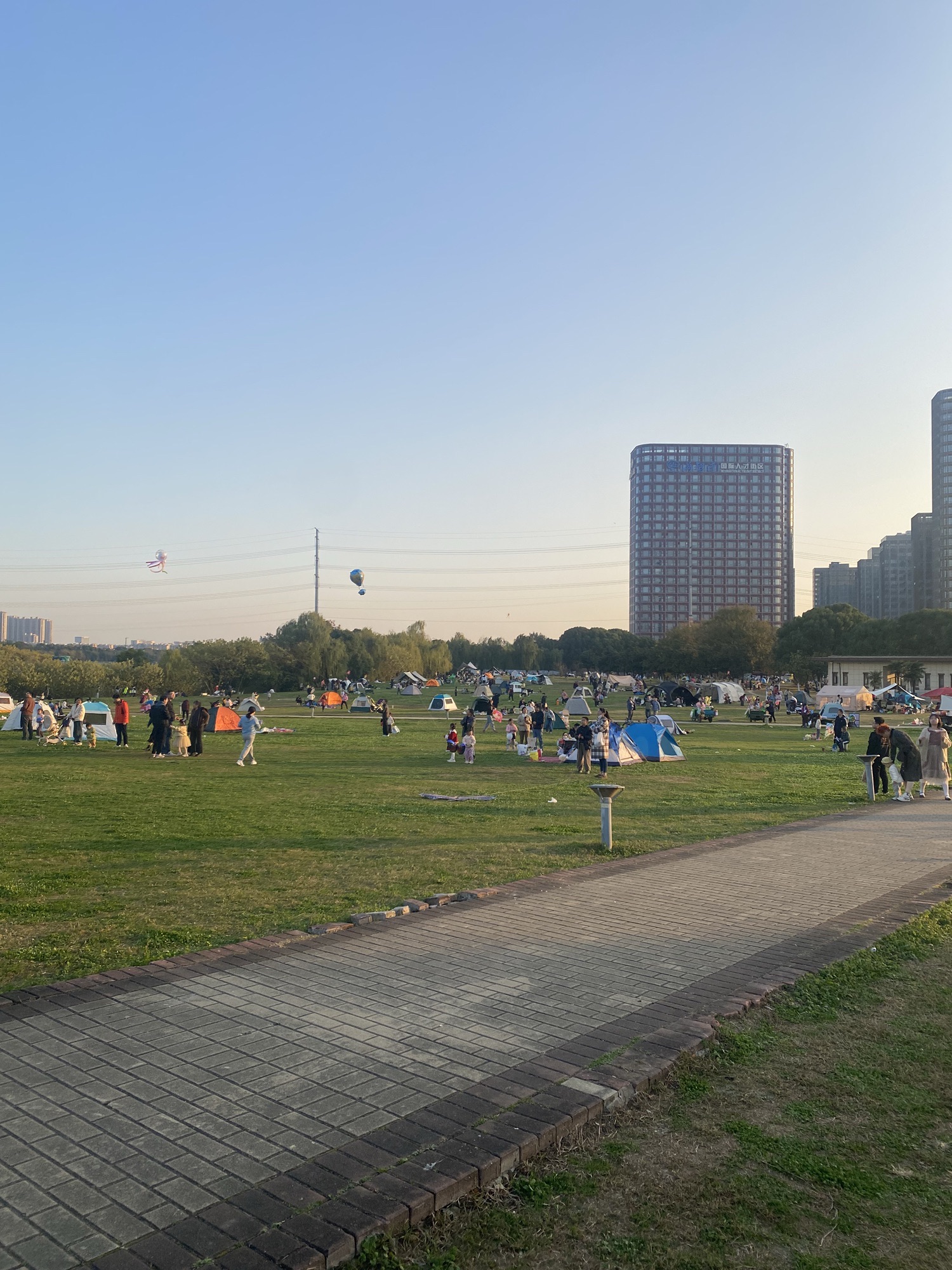九龙湖公园旅行图片 3