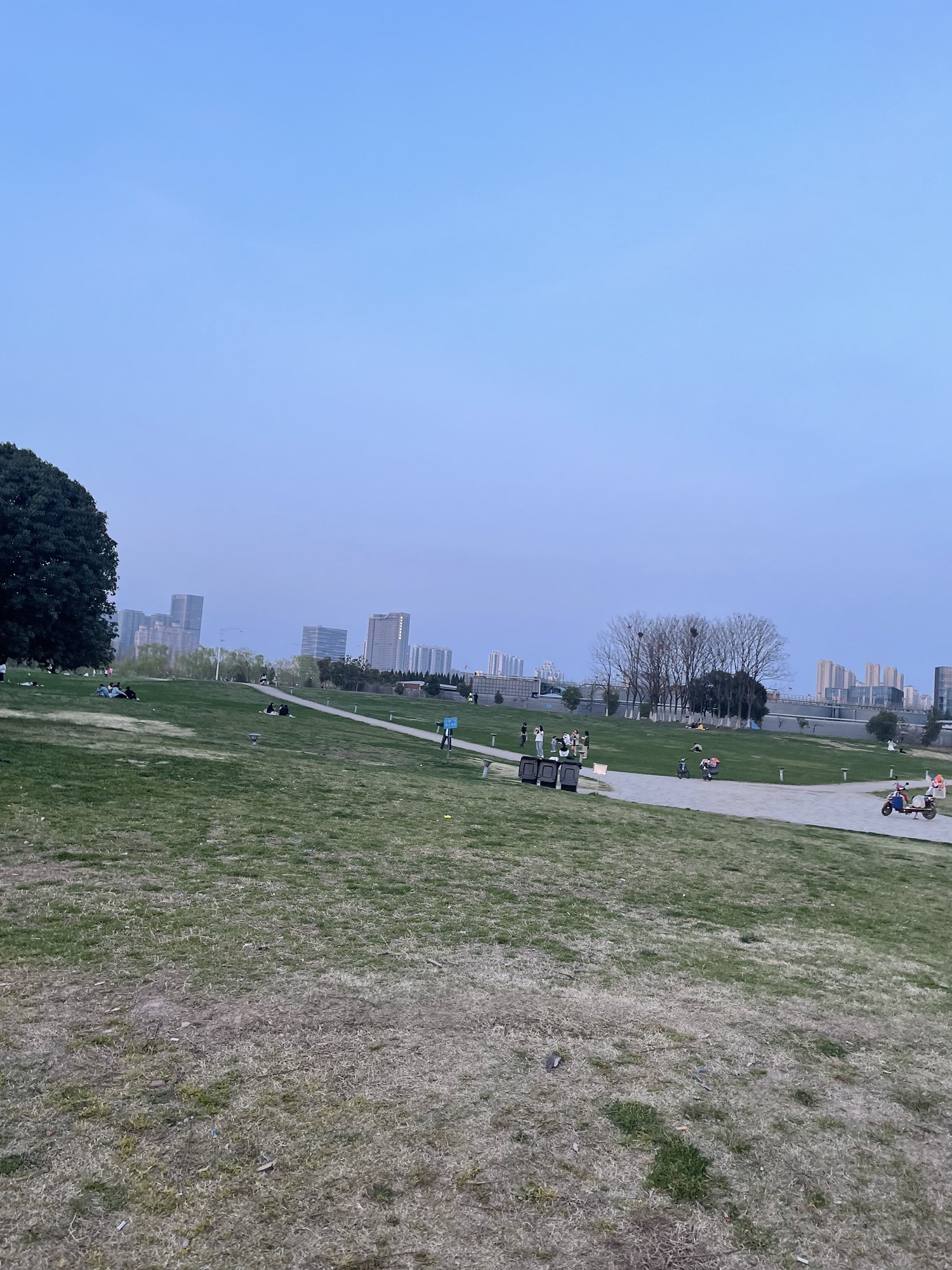 九龙湖公园旅行图片 3