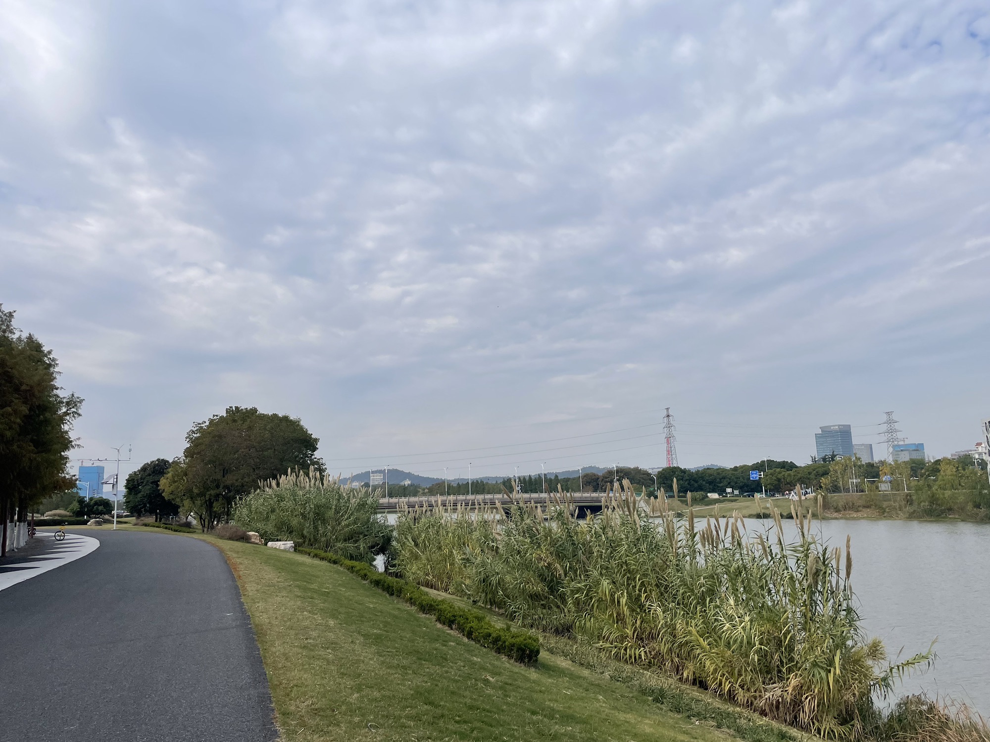 九龙湖公园旅行图片 2
