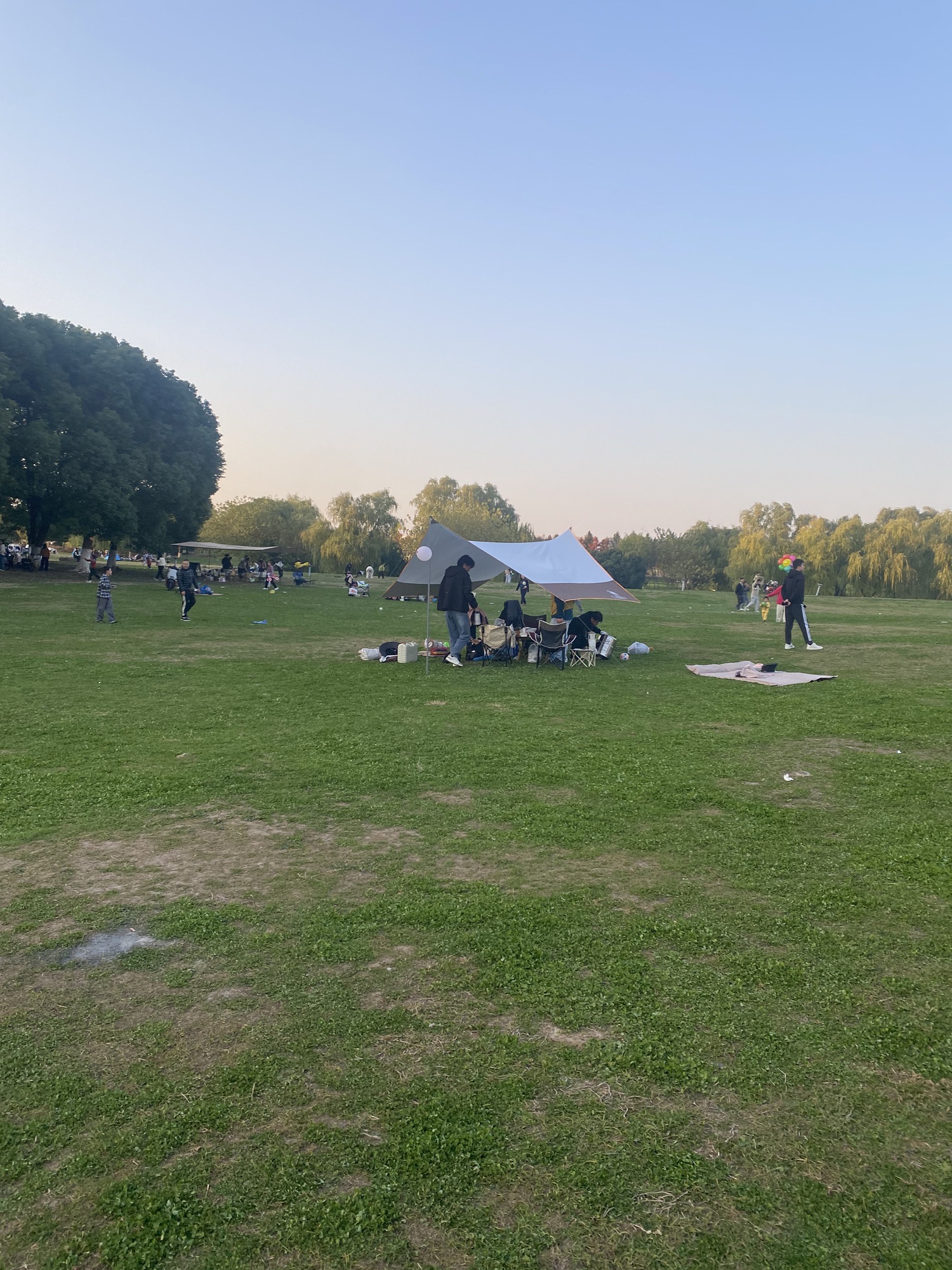 九龙湖公园旅行图片 2