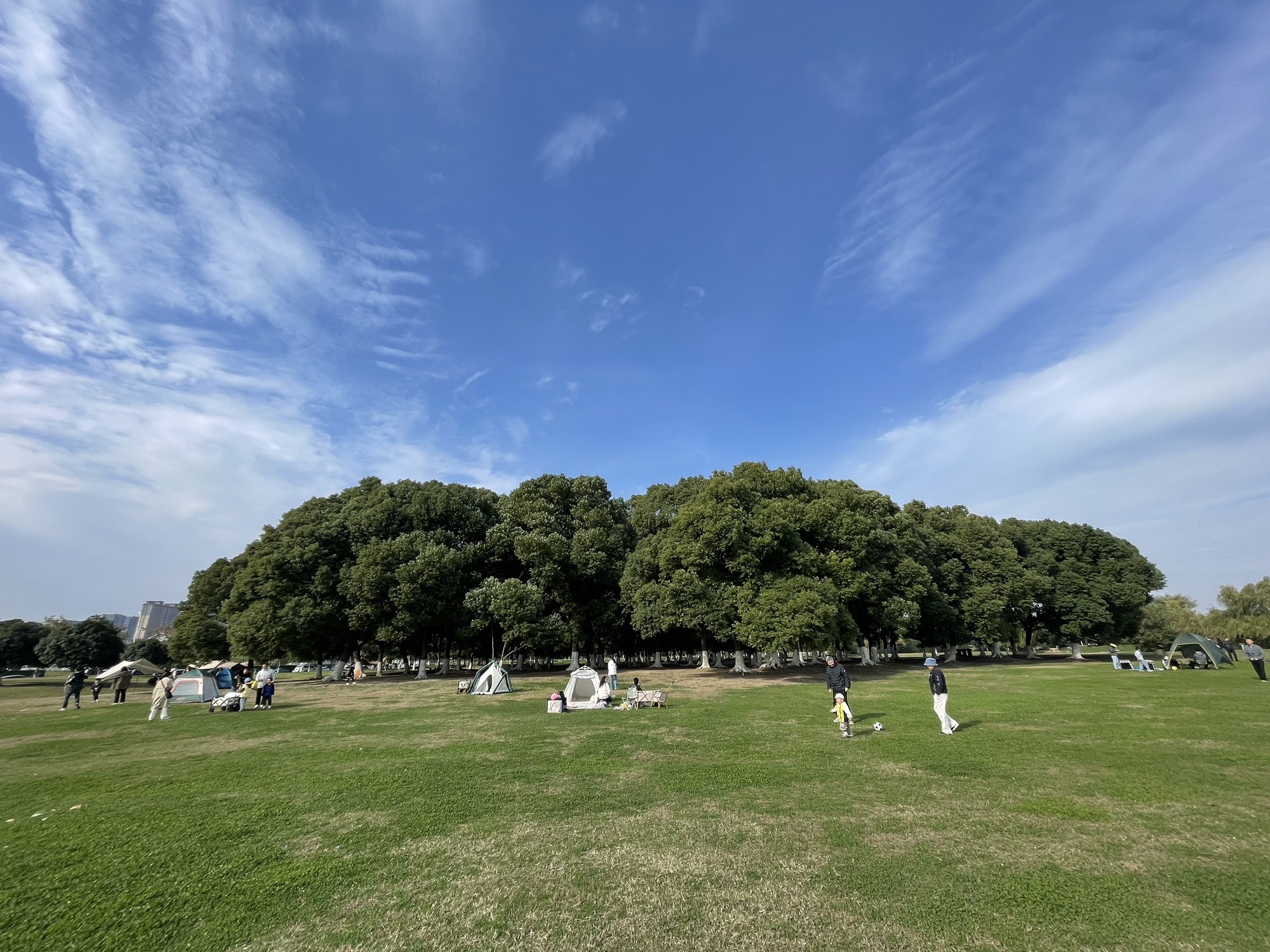 九龙湖公园旅行图片 1