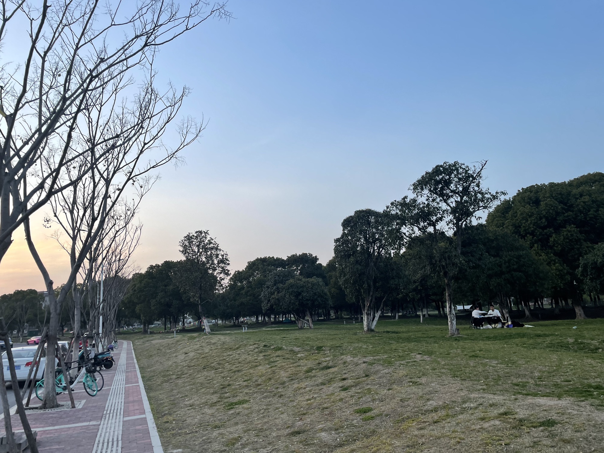 九龙湖公园旅行图片 2