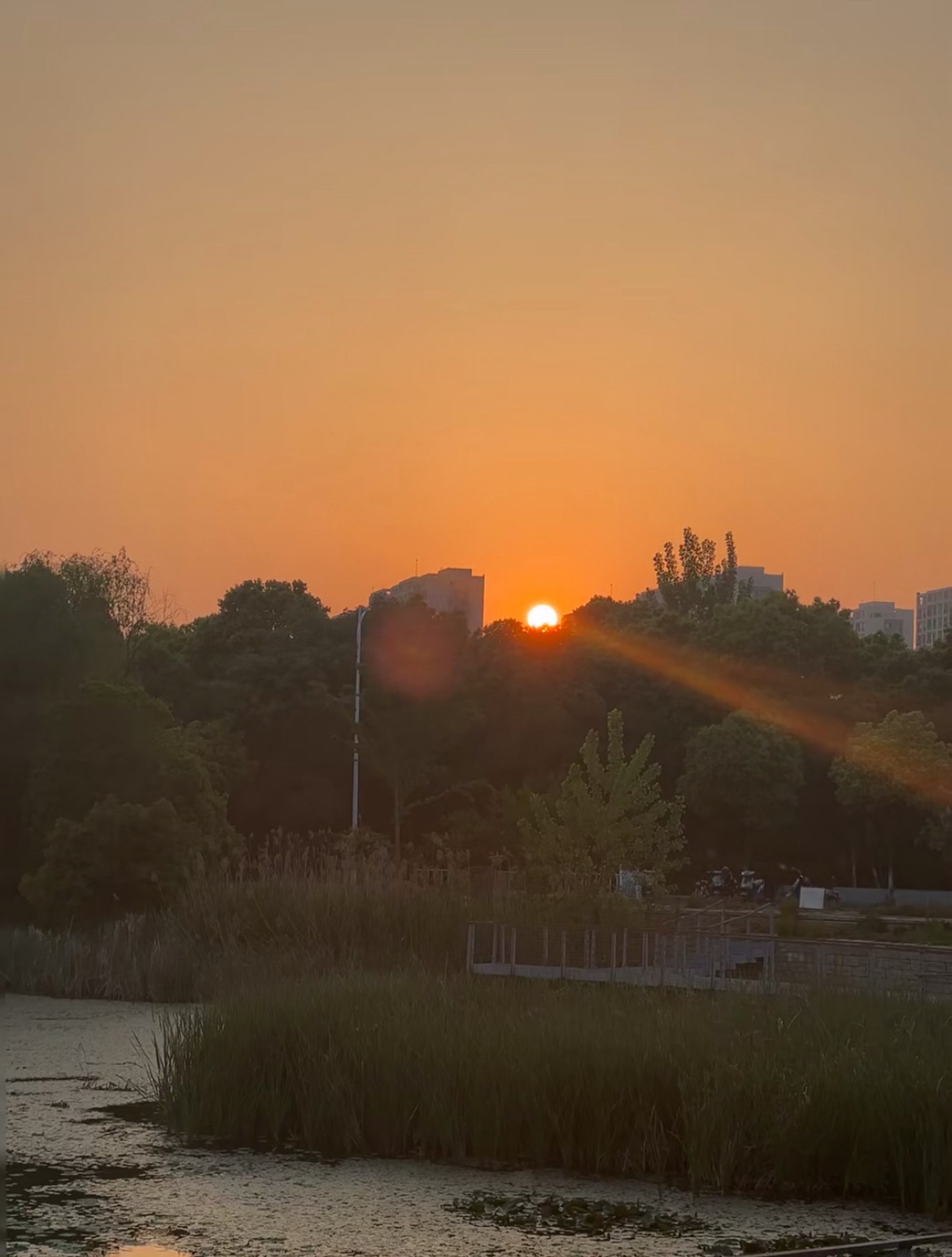 江宁区大学城天印湖公园旅行图片 3