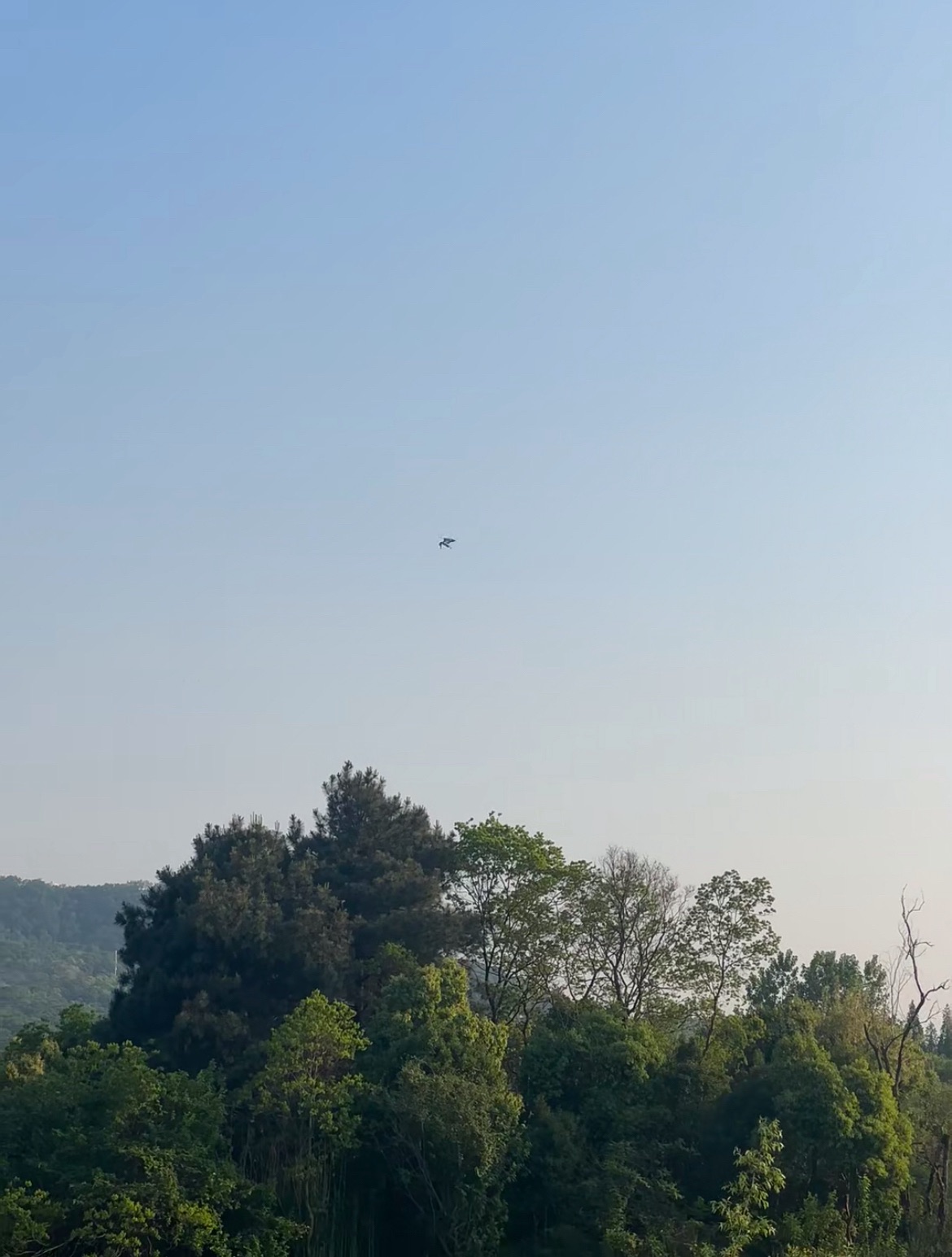 江宁区大学城天印湖公园旅行图片 1
