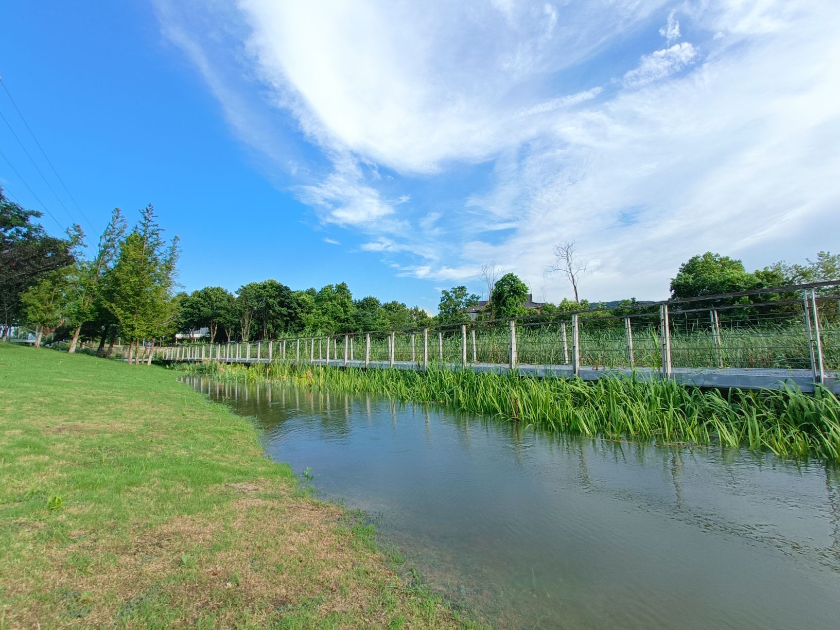 江宁区大学城天印湖公园旅行图片 2