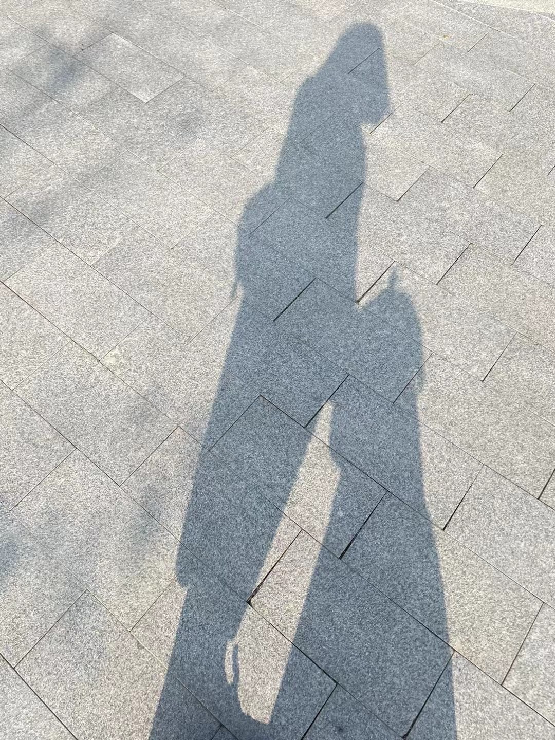 江宁区大学城天印湖公园旅行图片 1