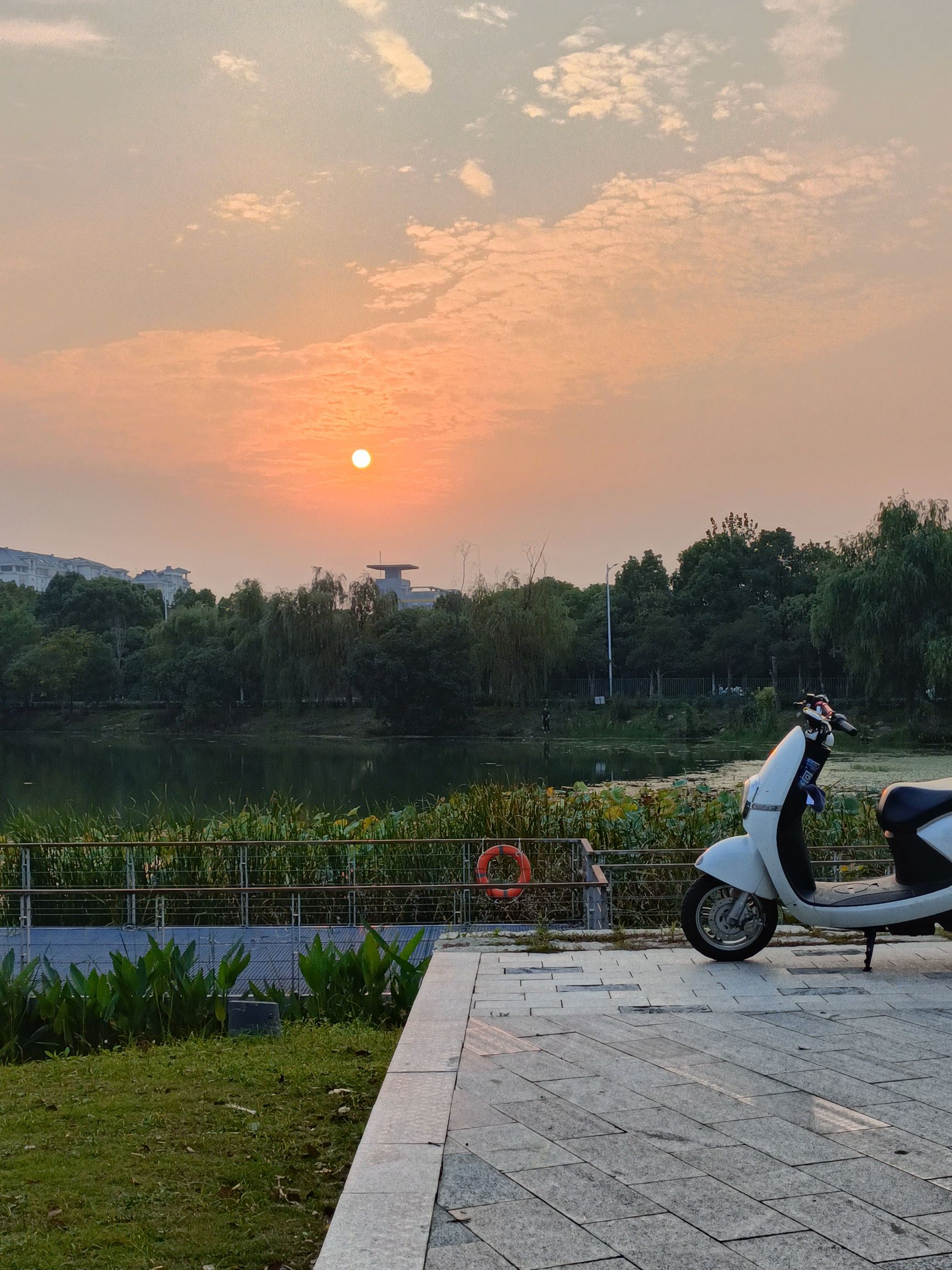 江宁区大学城天印湖公园旅行图片 1